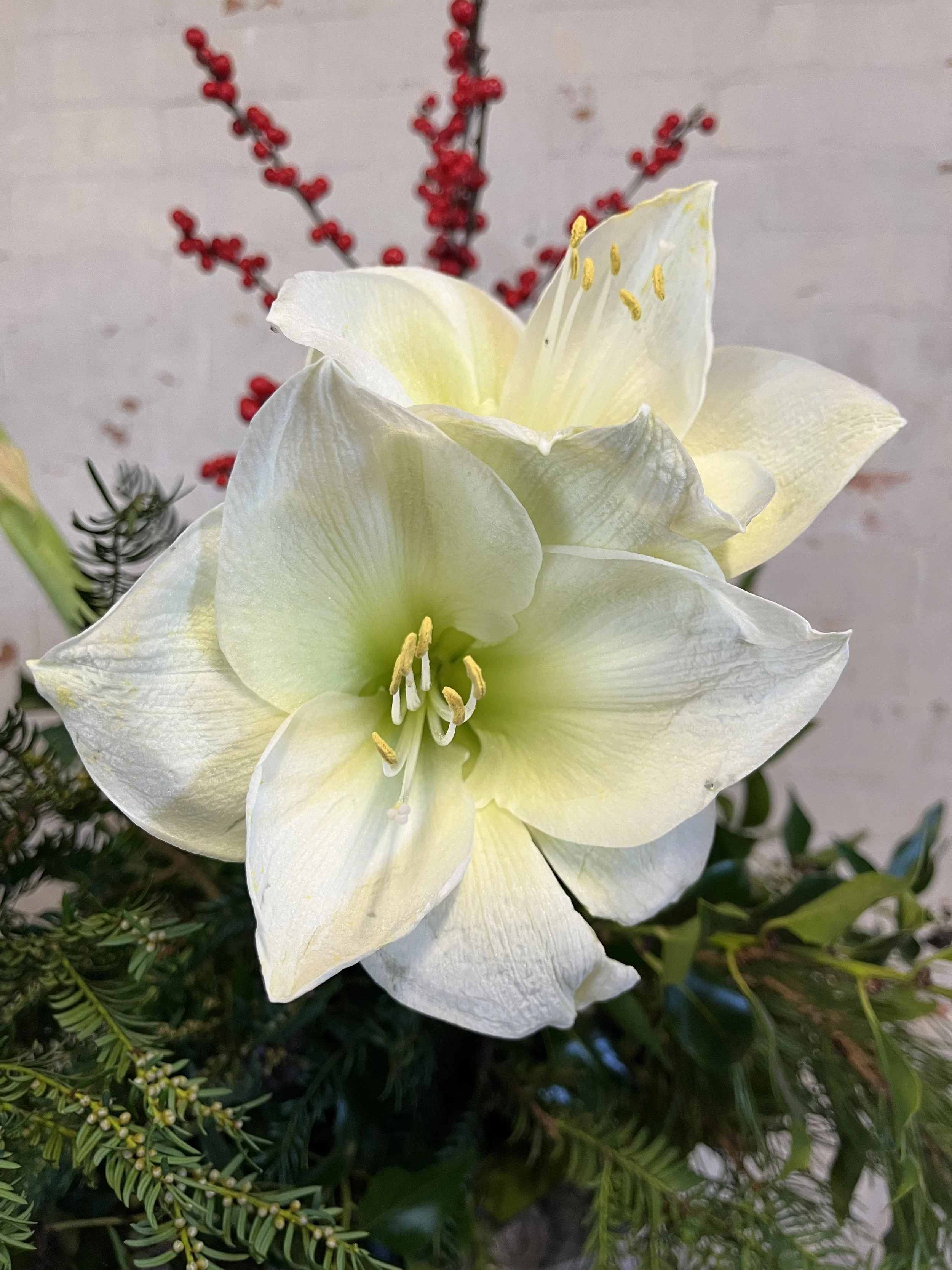 Corporate 11 IMG_8698.jpeg