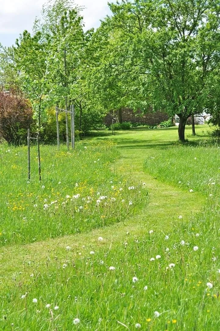 Forest Edge, Wood End precedent image, with a grass path, wild flowers and trees.