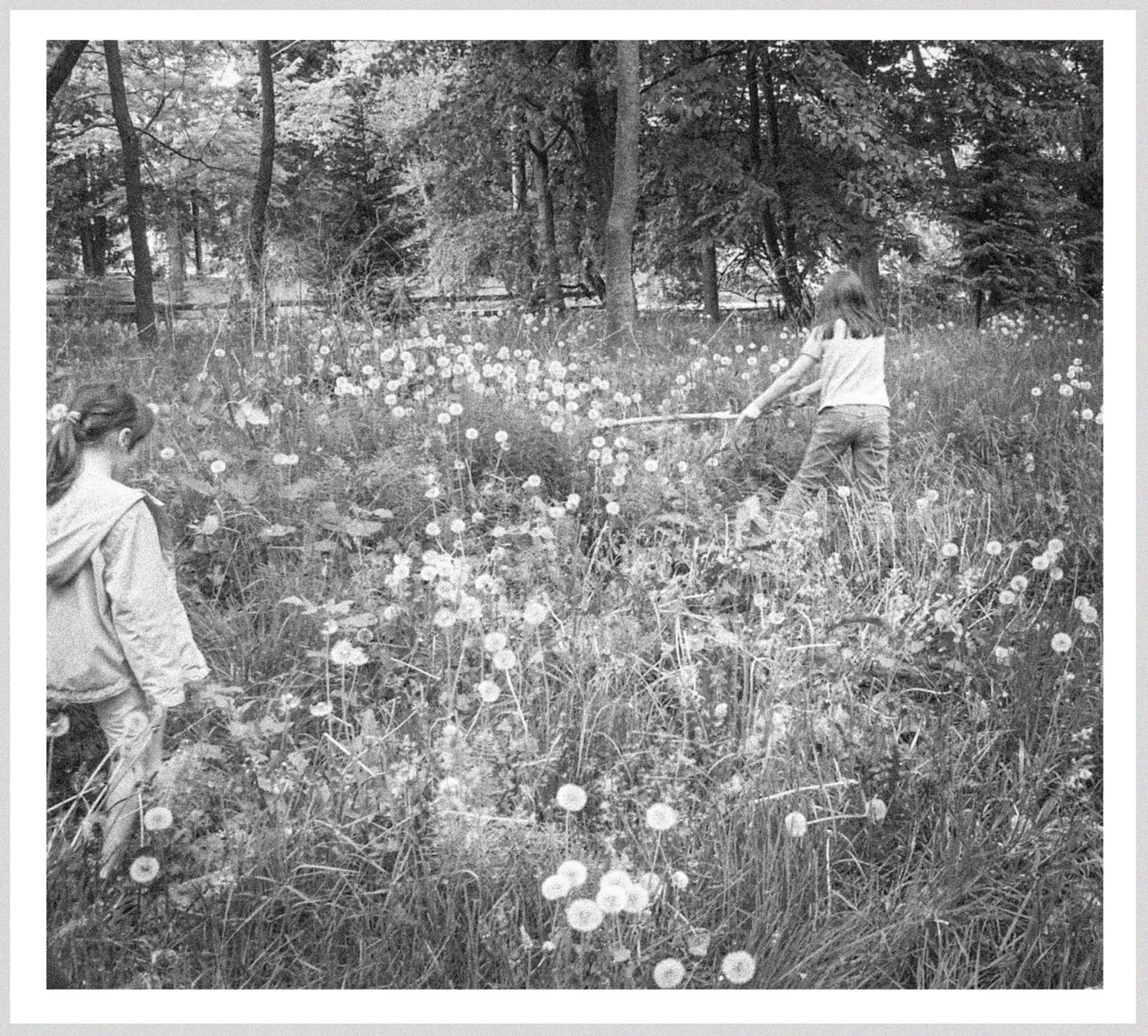 Photographic Memories: The Heartfelt Journey of a Photo Organizer