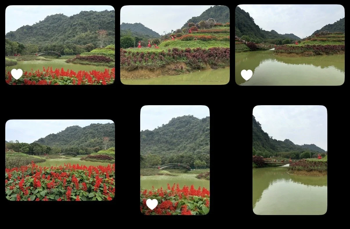 ❤️Your Digital Photo Collection While Keep it Under Control!