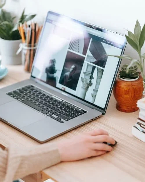 A person working on a laptop computer at a wooden desk with plants and stationery in the background.