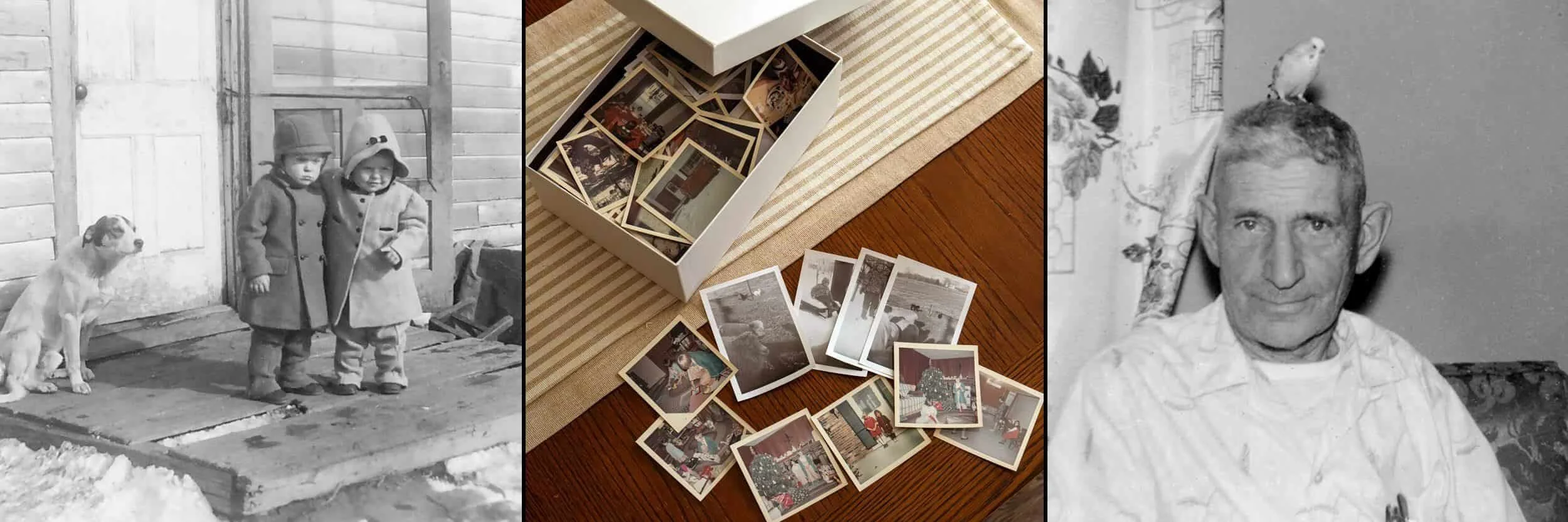 A collage of three photographs: on the left, two children with a dog, in the middle, a box of printed photographs on a table, and on the right, an elderly man sitting indoors.