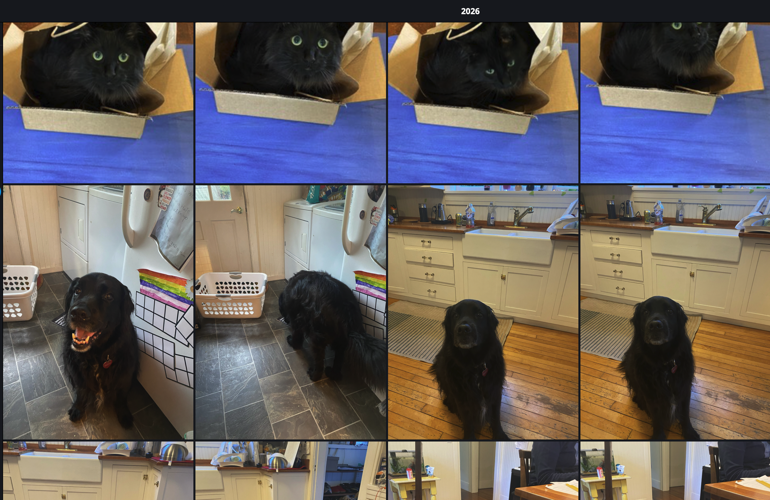 Keeping Up with your Organization