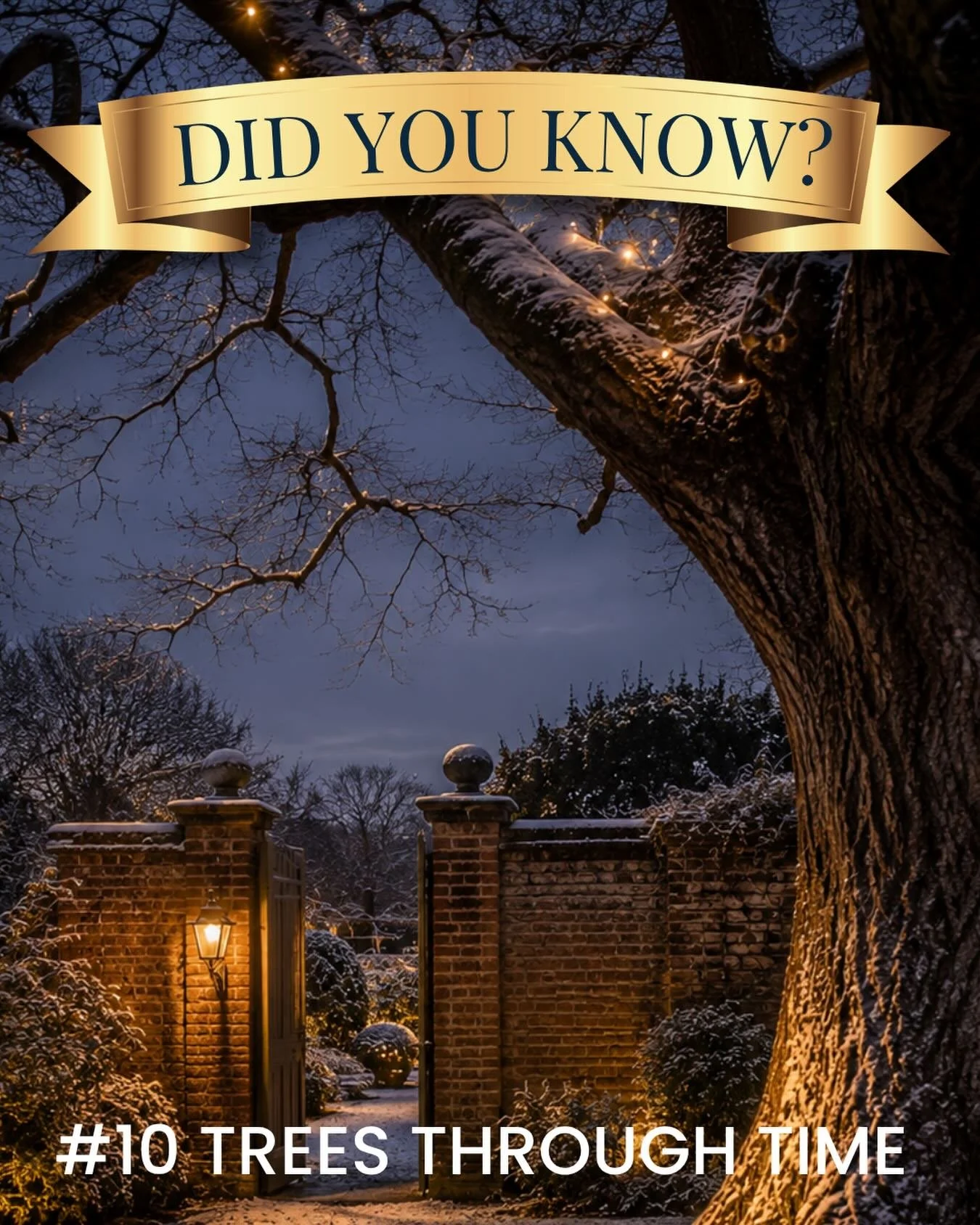 Some of the trees at Fulham Palace have stood watch over centuries of history. 🌳

Long before cars, electricity and even many modern nations existed, these remarkable trees were already growing in the Palace grounds. 

They have witnessed the reigns