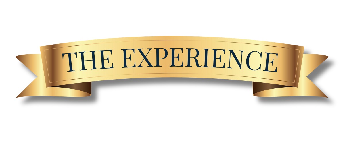 A gold ribbon banner with the text 'The Experience' in blue font.