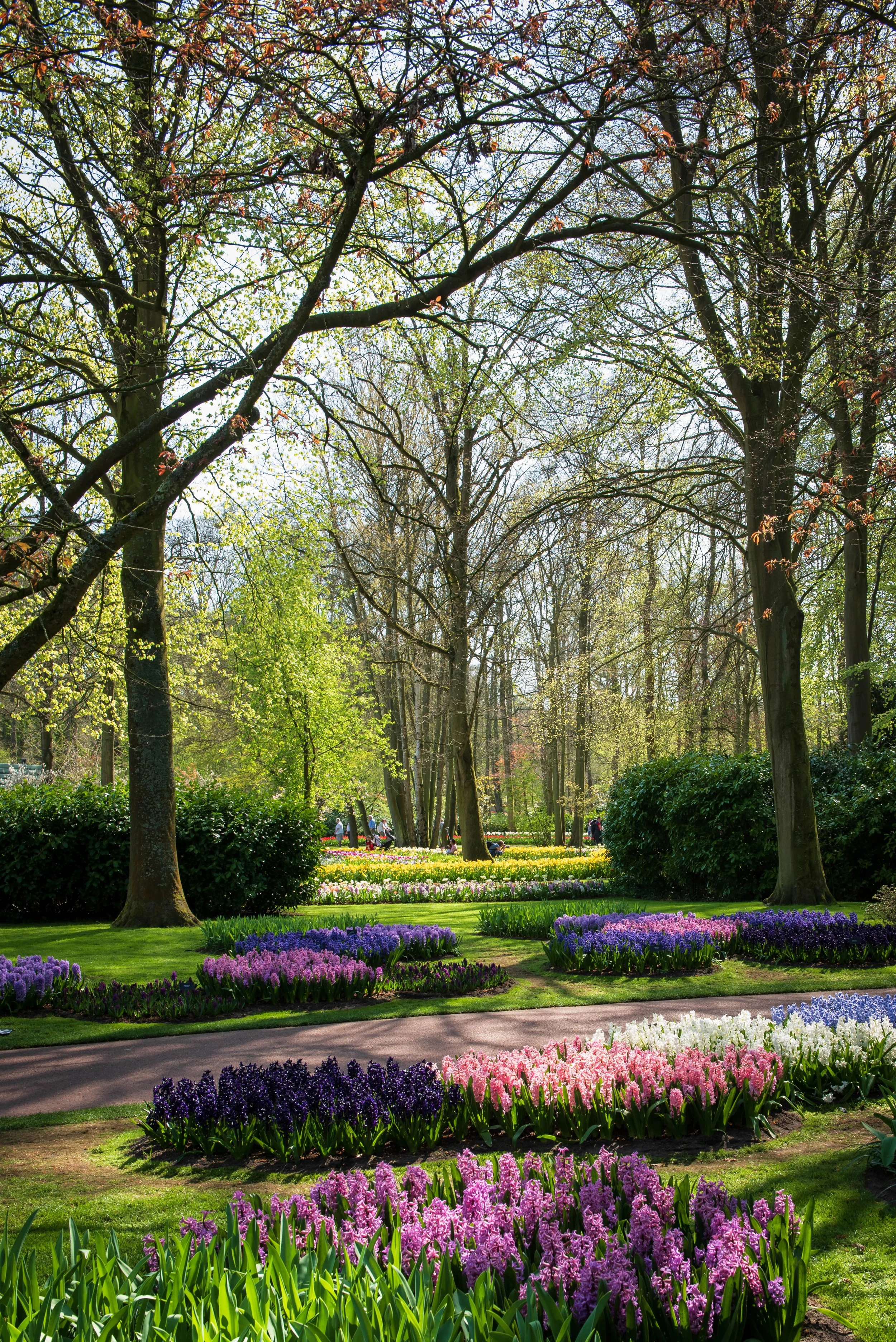 Keukenhof-9.jpg