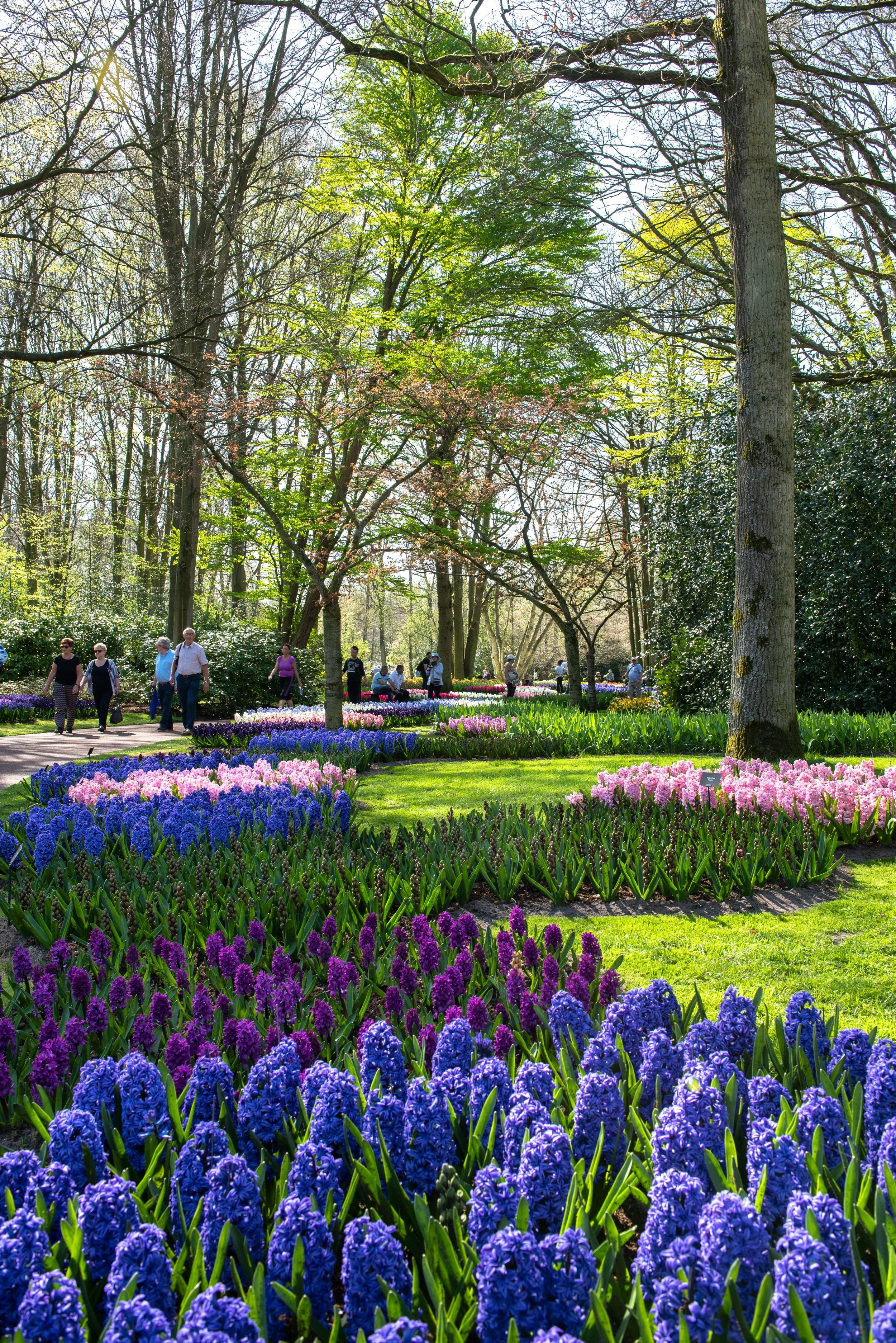 Keukenhof-10.jpg