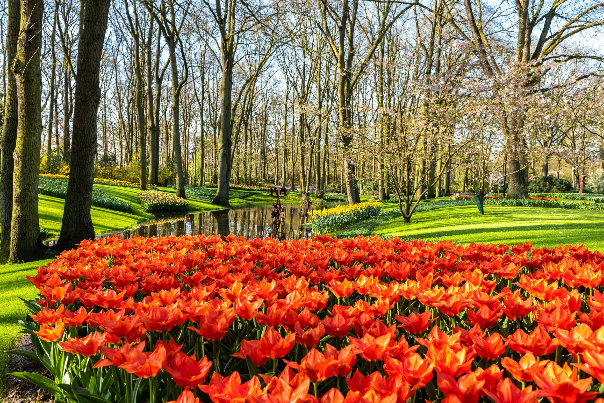 Keukenhof-4.jpg