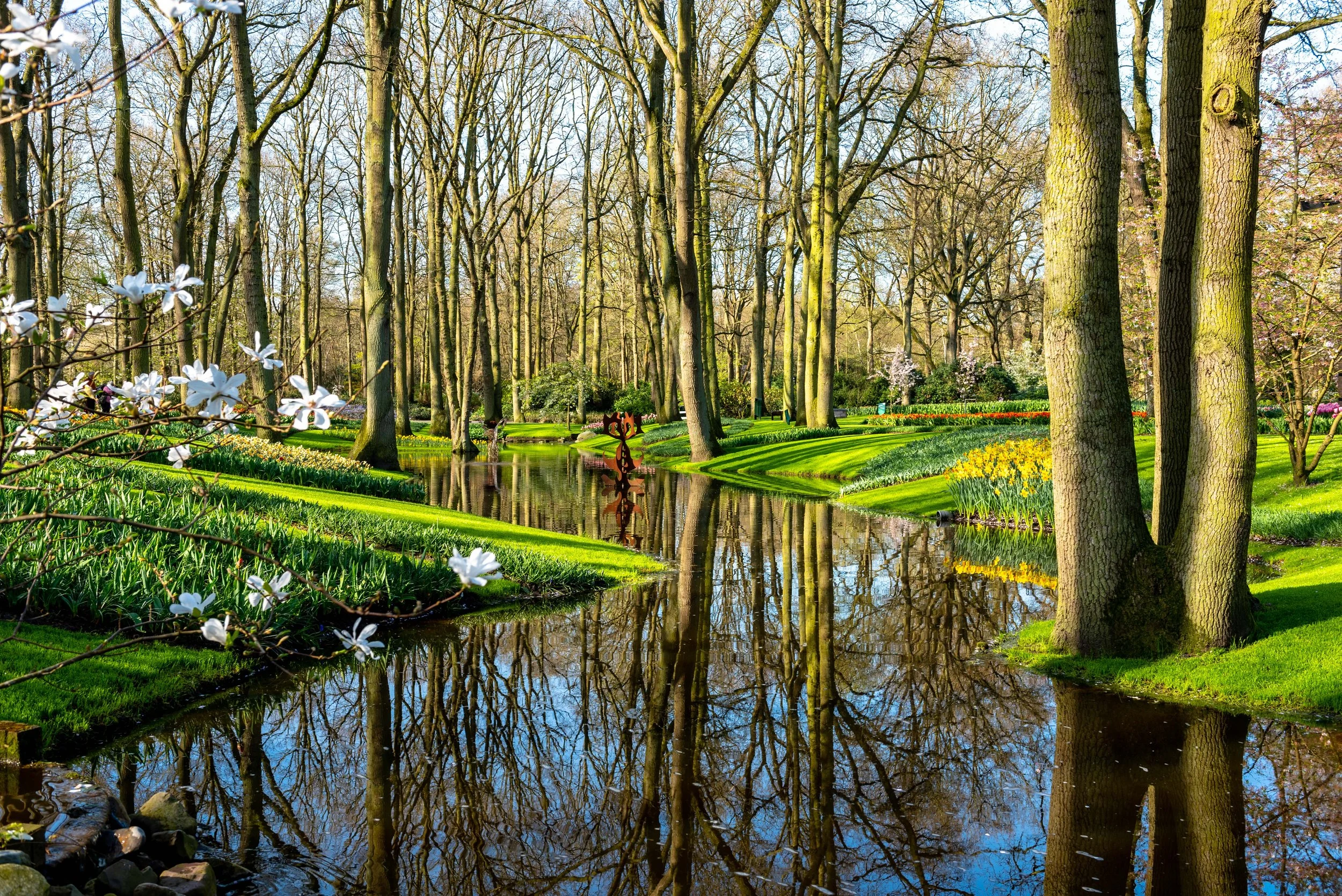 Keukenhof-3.jpg