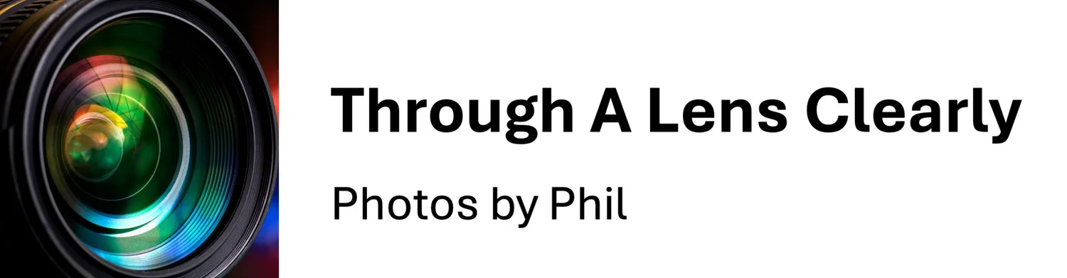 Through A Lens Clearly