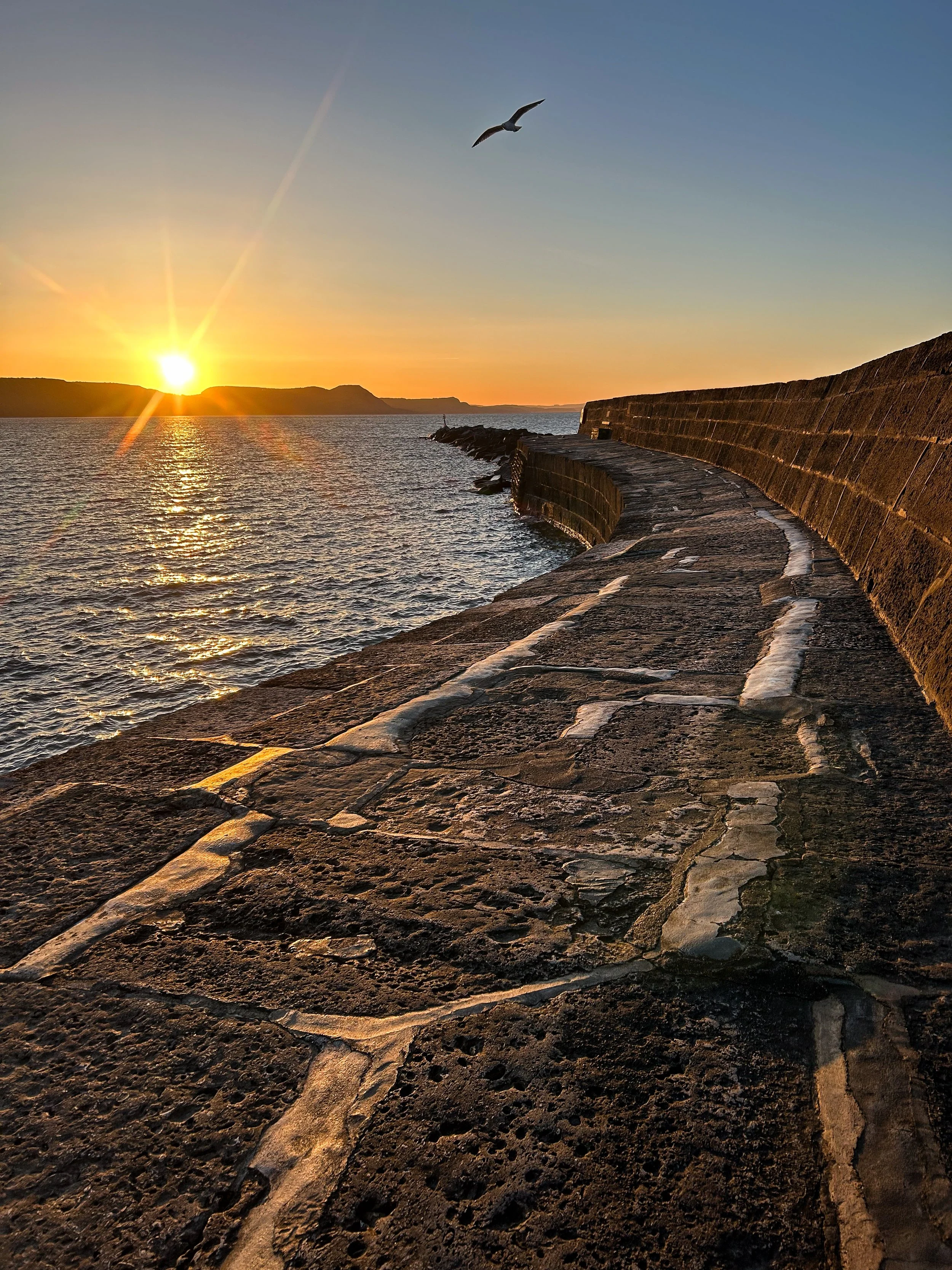The Cobb at Lyme Regis, Dorset