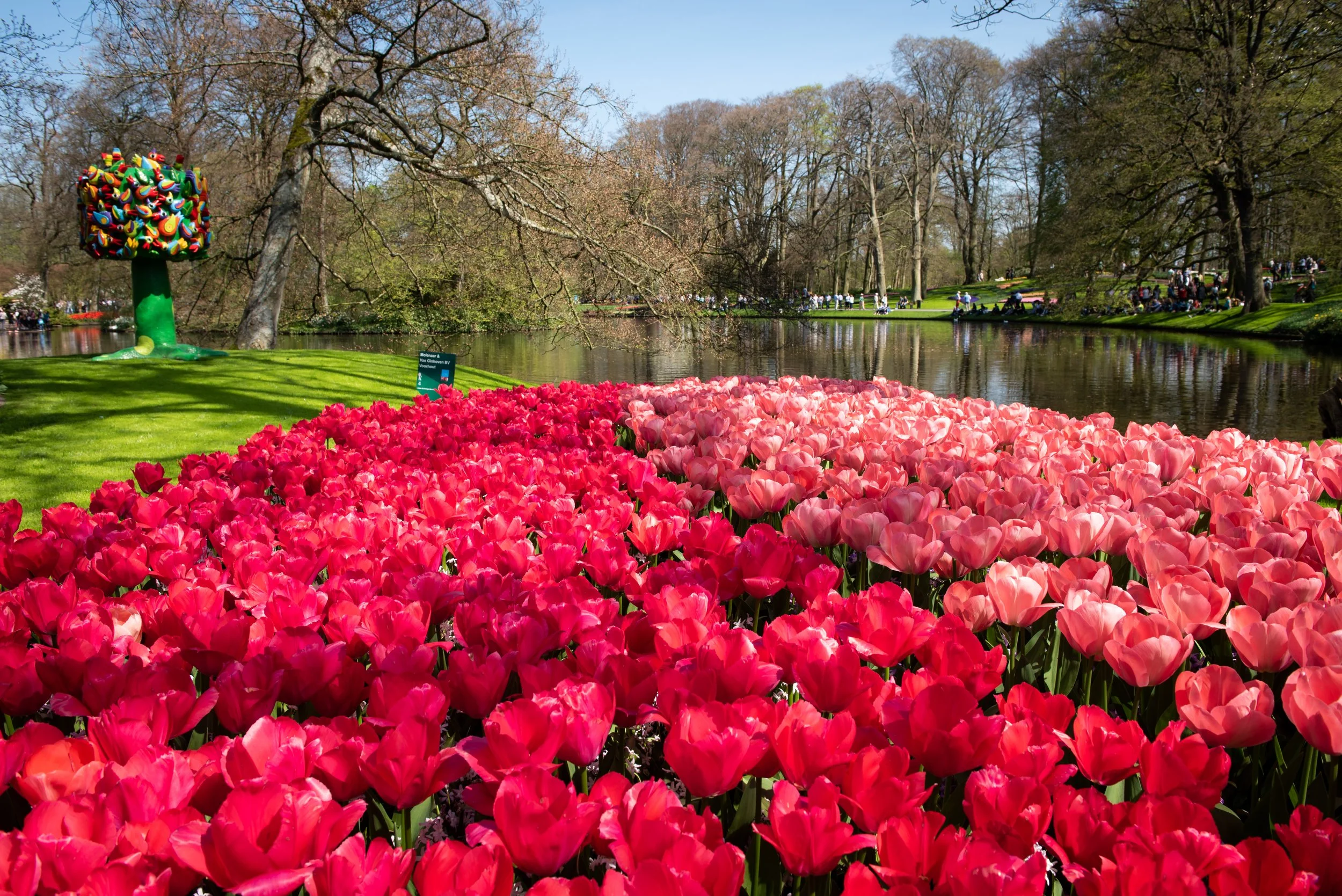 Keukenhof-7.jpg