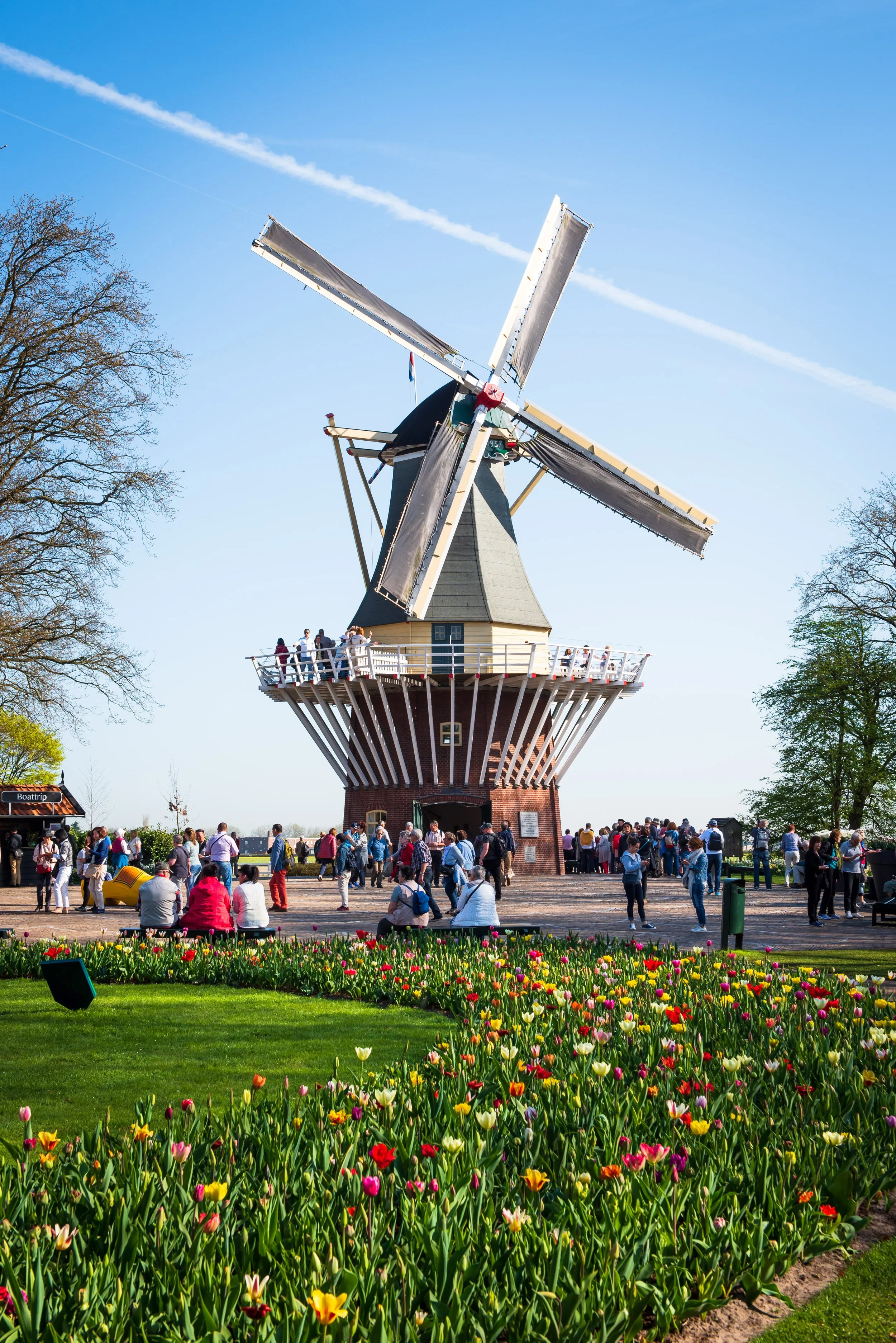 Keukenhof-5.jpg