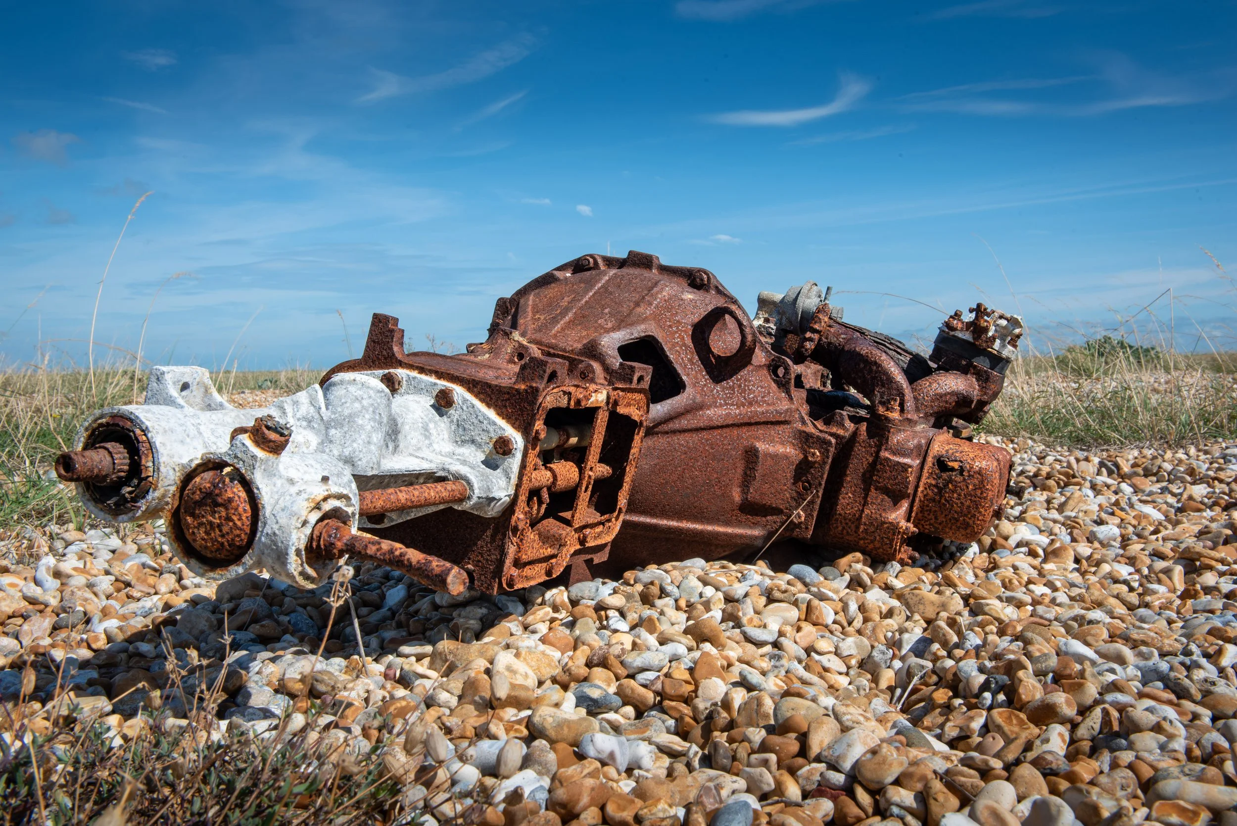 Dungeness-11.jpg