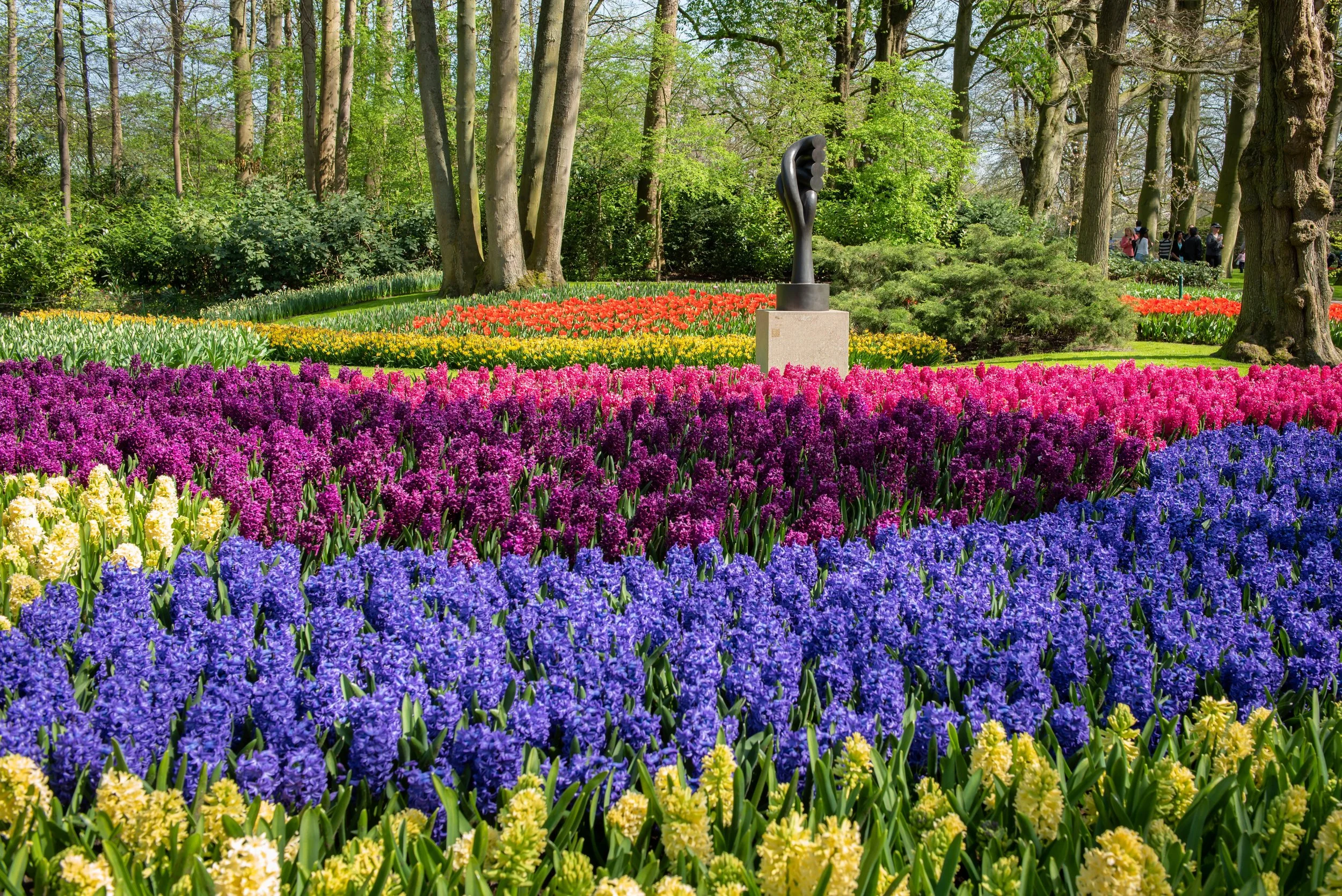 Keukenhof-6.jpg