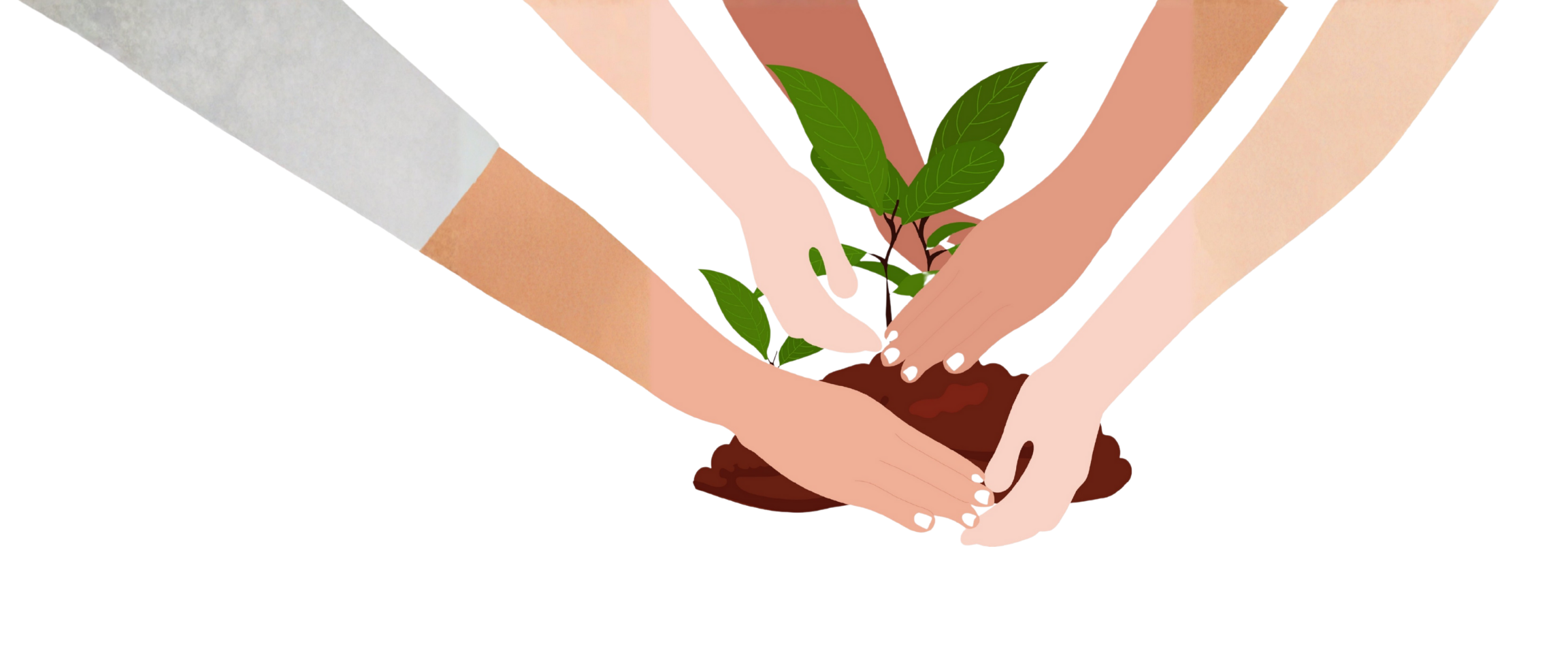 Multiple hands tending to a small green plant into soil, symbolizing community, support and growth.