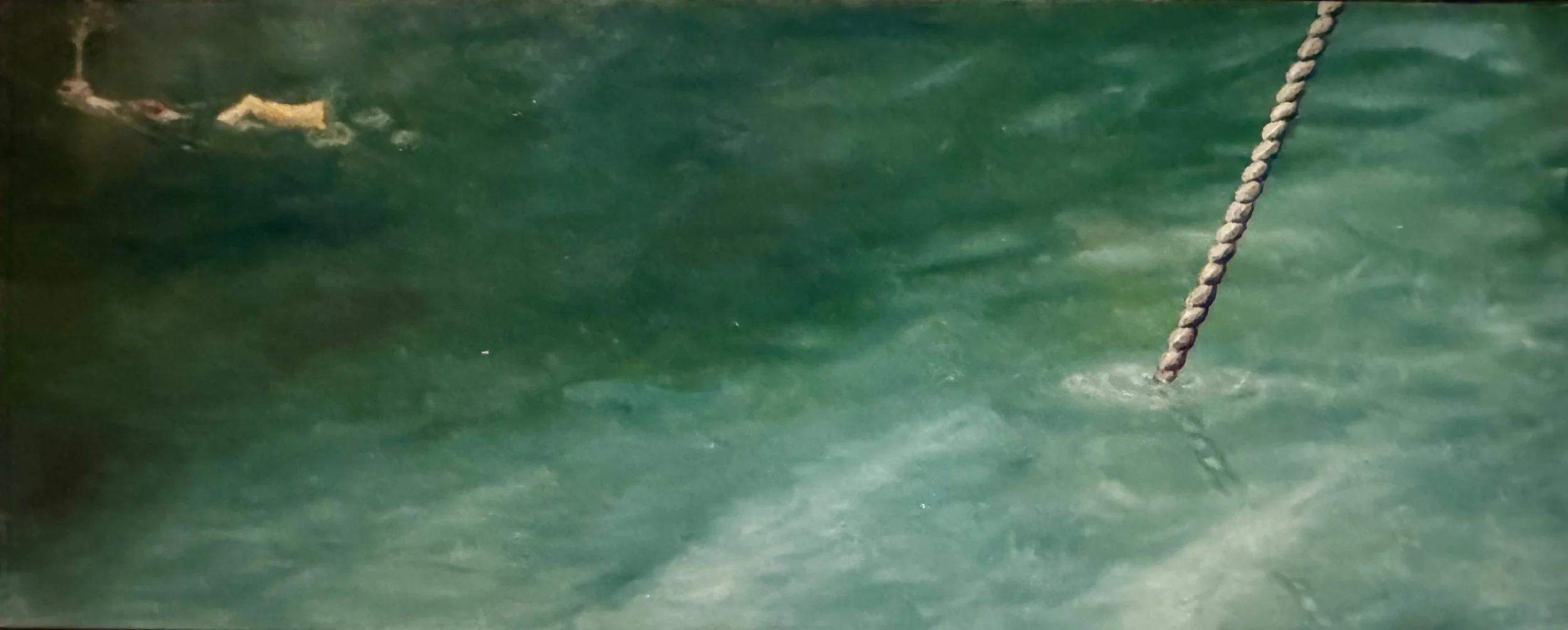 Purging, 1996, 152.5cm x 61cm