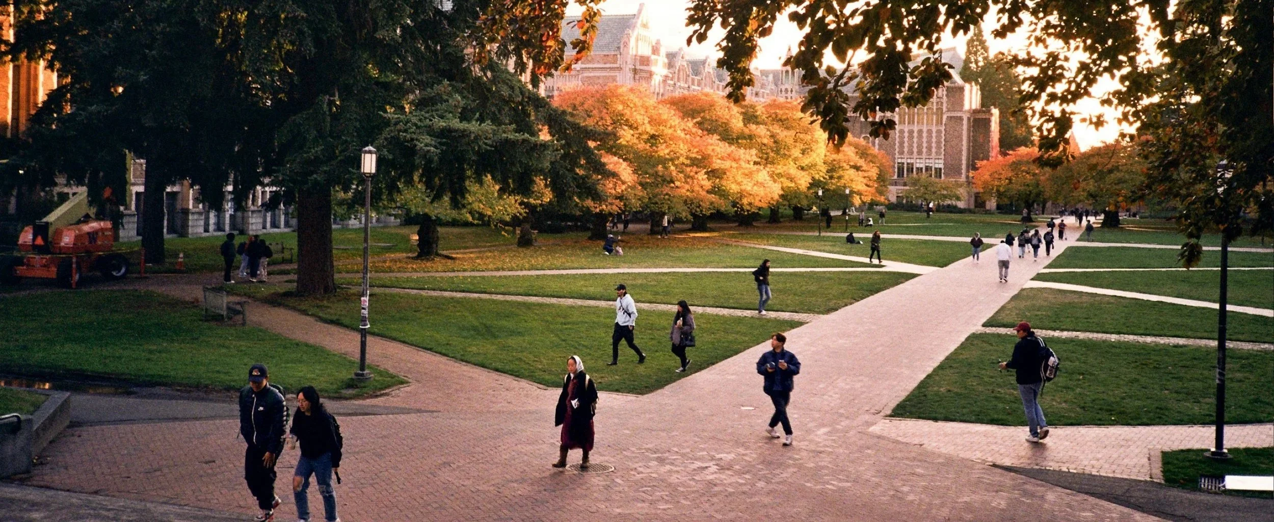 Therapy For University of Michigan Students