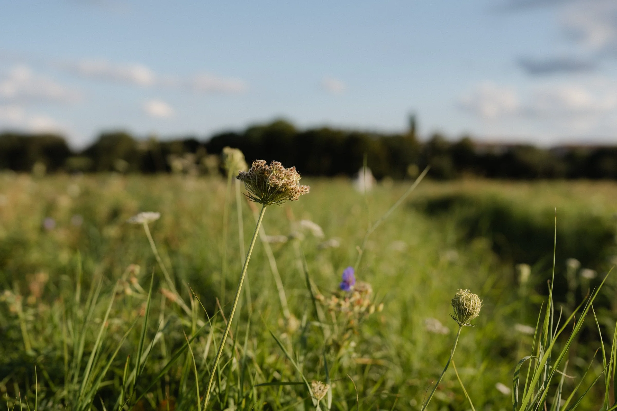 Hochzeitsfotograf Dresden-227.jpg