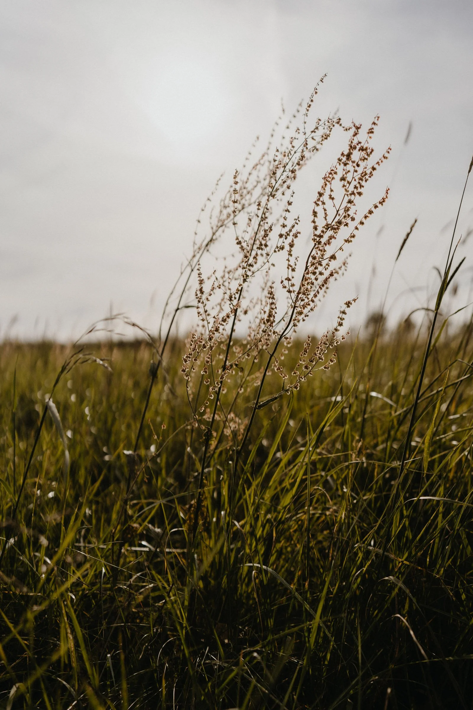 hochzeit schellenberghof leubsdorf-161.jpg