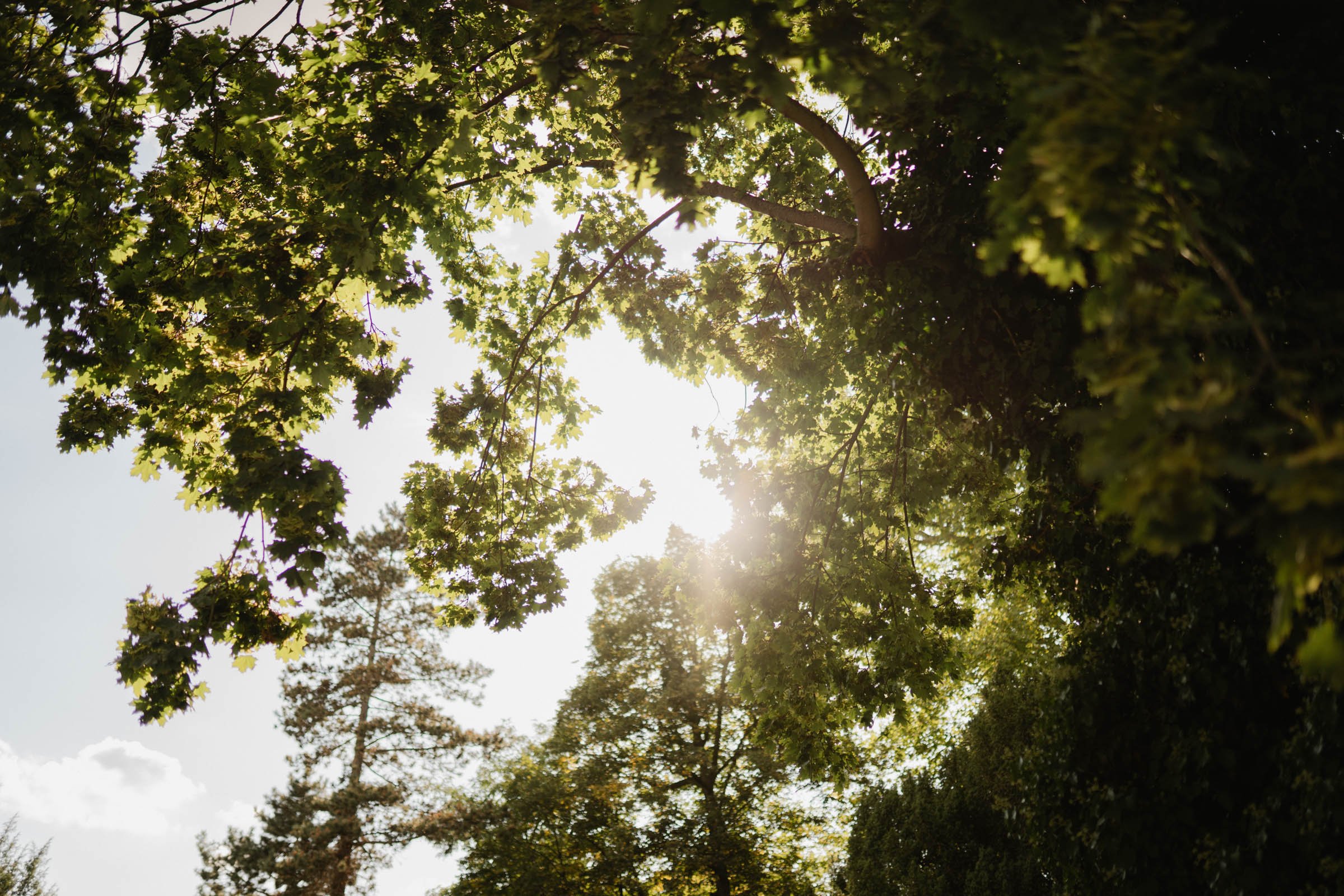 Hochzeitsfotograf Dresden-177.jpg