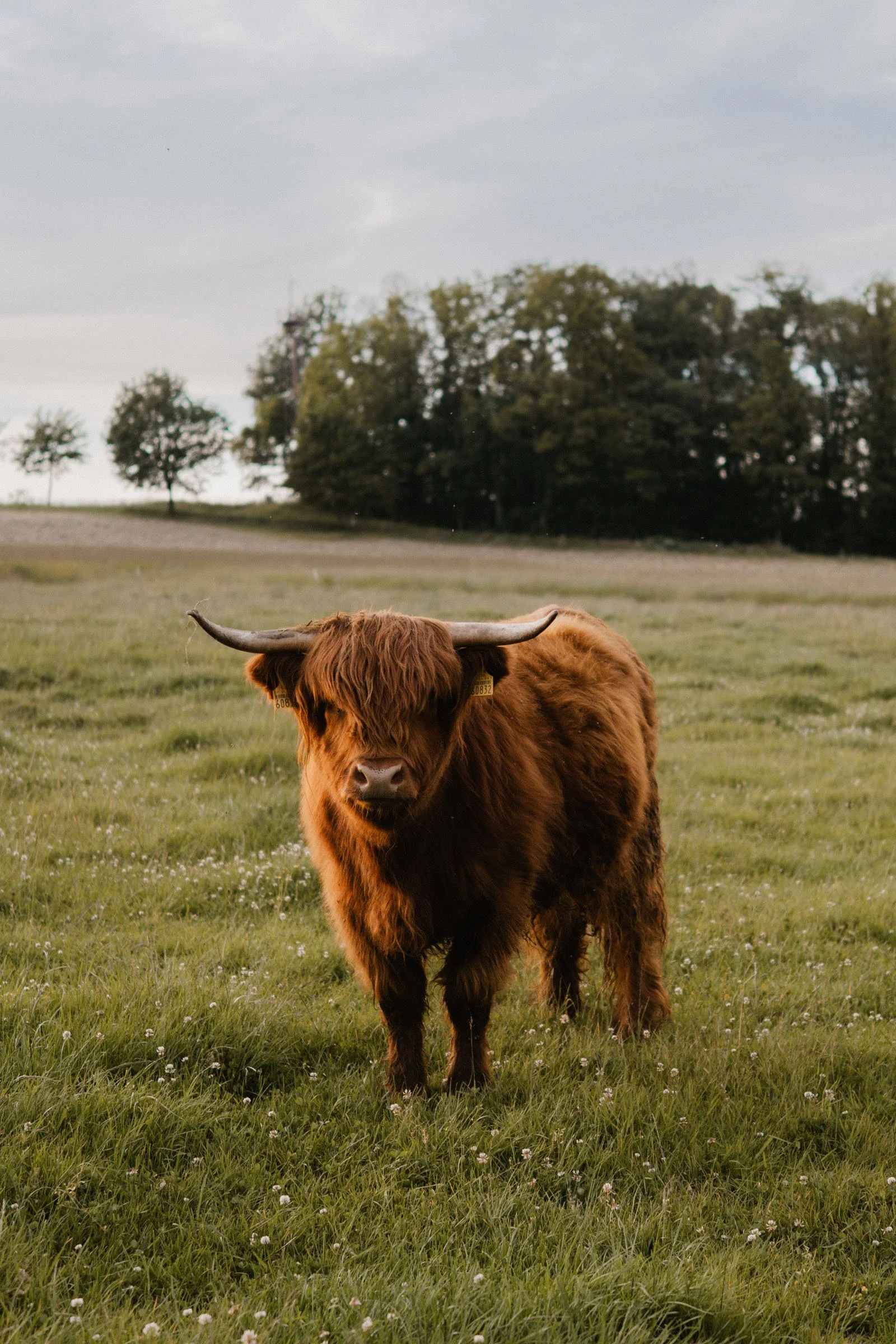 hochzeit schellenberghof leubsdorf-192.jpg