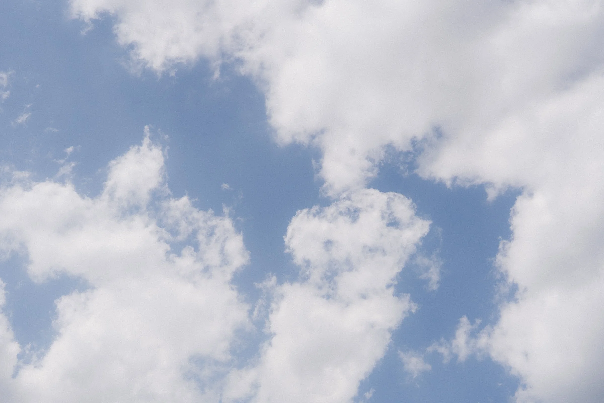 hochzeit schellenberghof leubsdorf-4.jpg