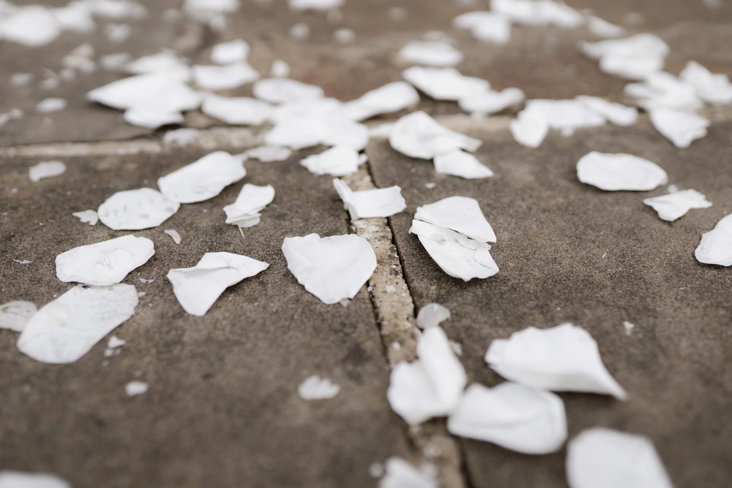 Hochzeitsfotograf Dresden Leipzig-112.jpg