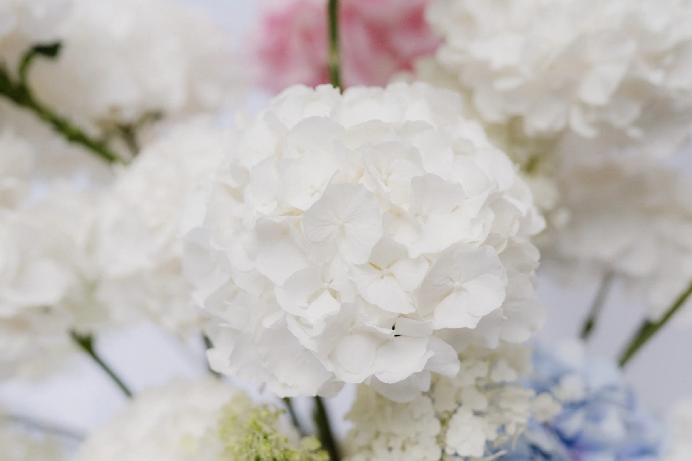 Hochzeitsfotograf Dresden Leipzig-98.jpg