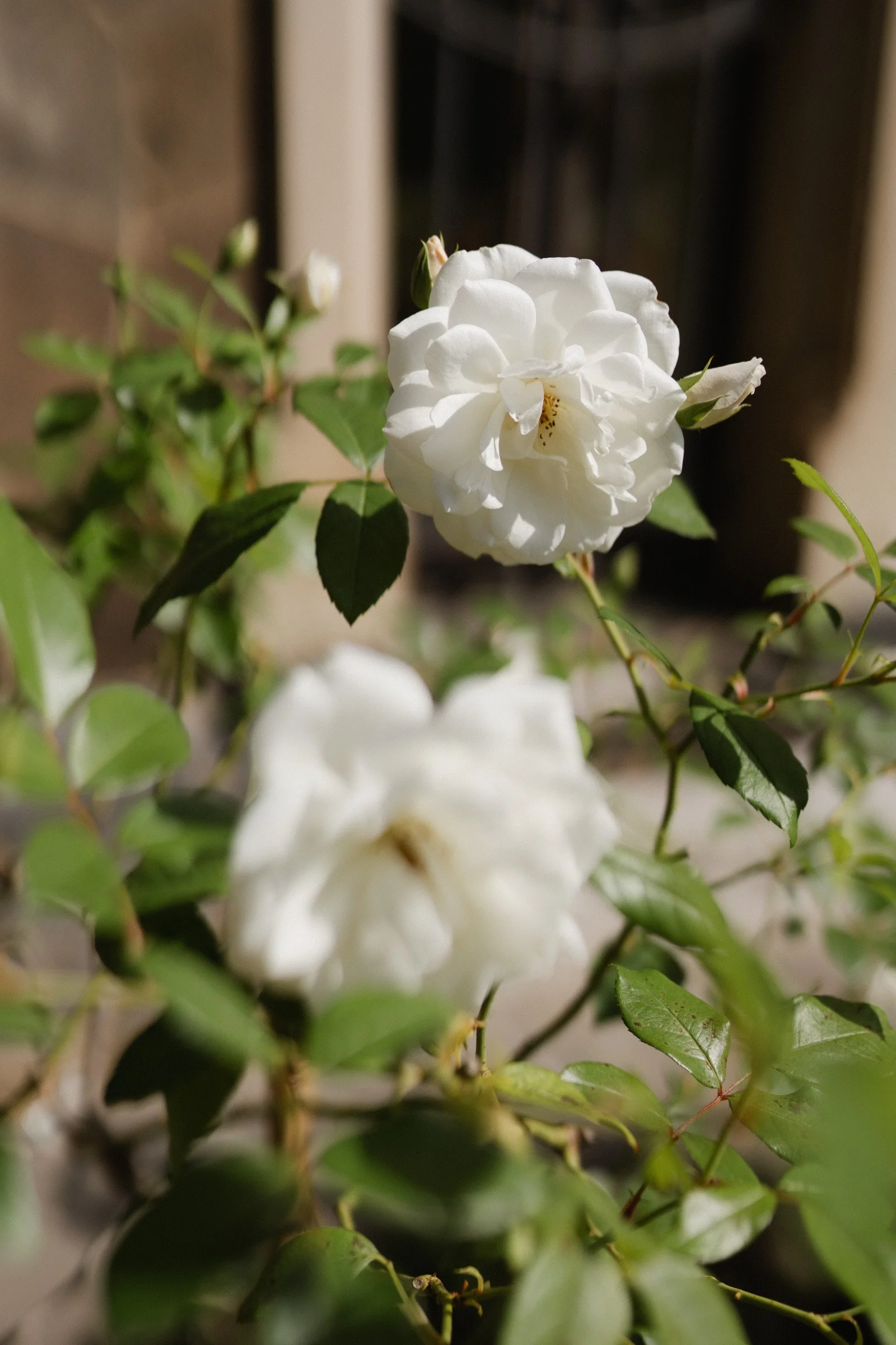 Hochzeitsfotograf Dresden-51.jpg