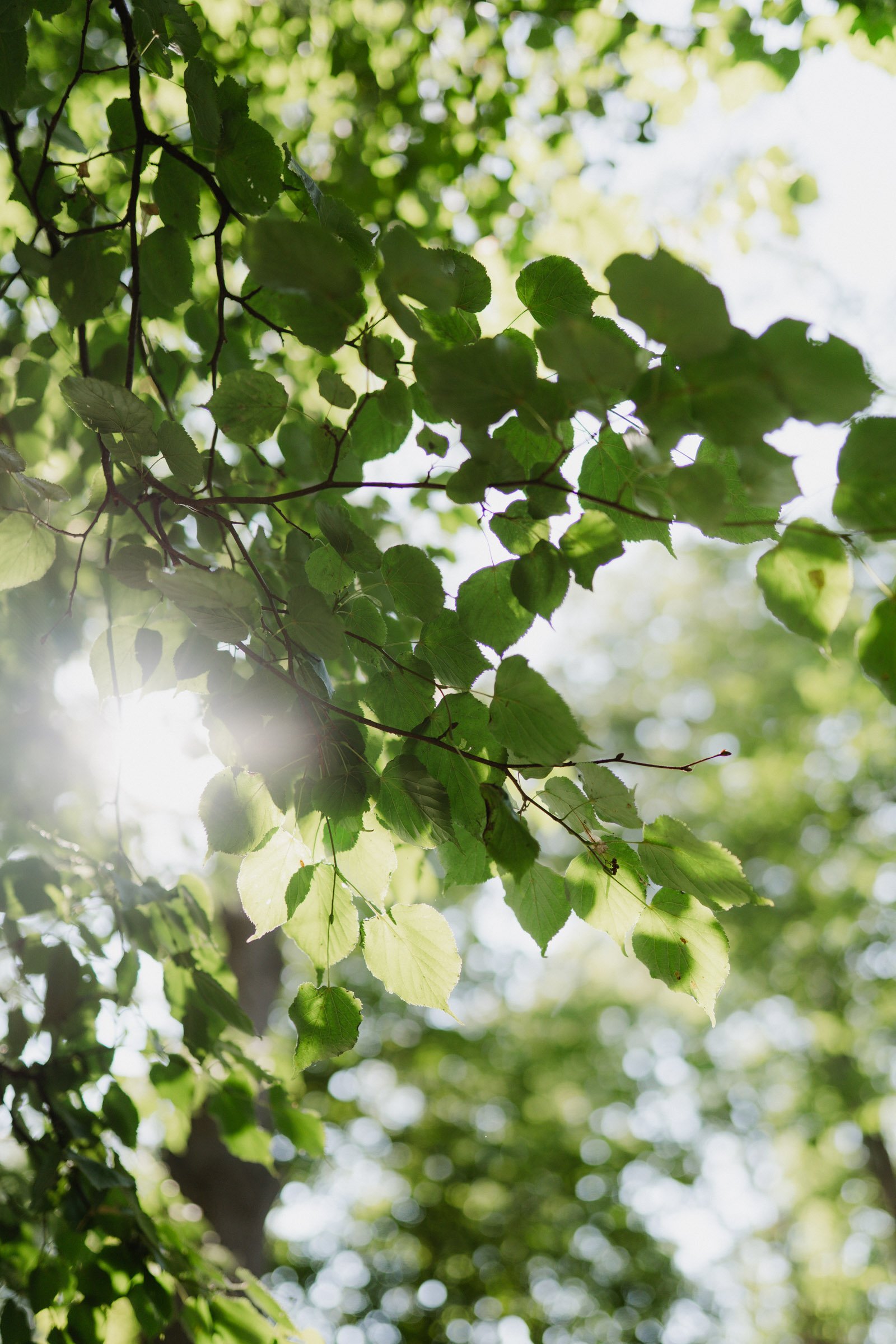 Hochzeitsfotograf Dresden Leipzig-103.jpg