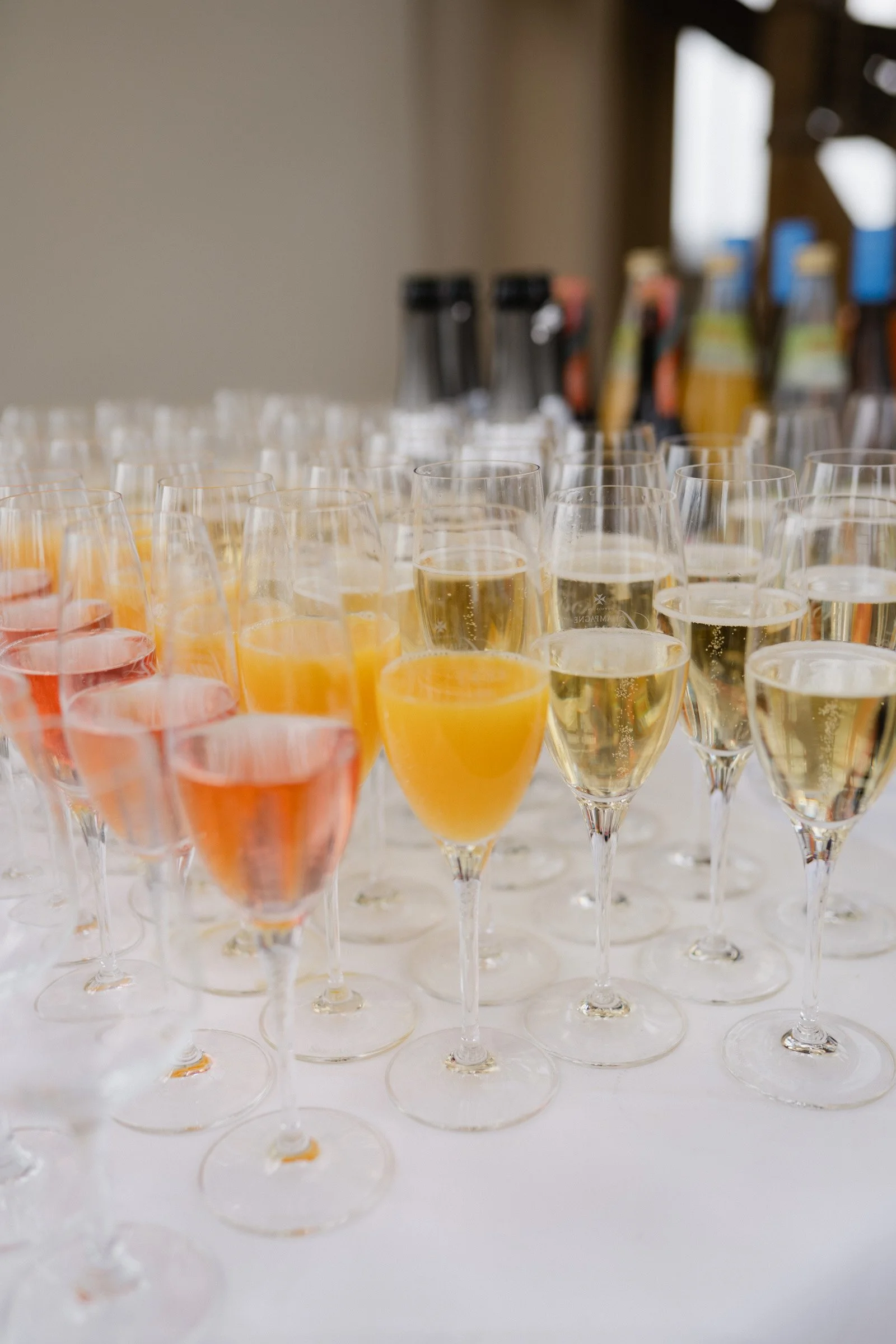 Hochzeitsfotograf Dresden Leipzig-156.jpg