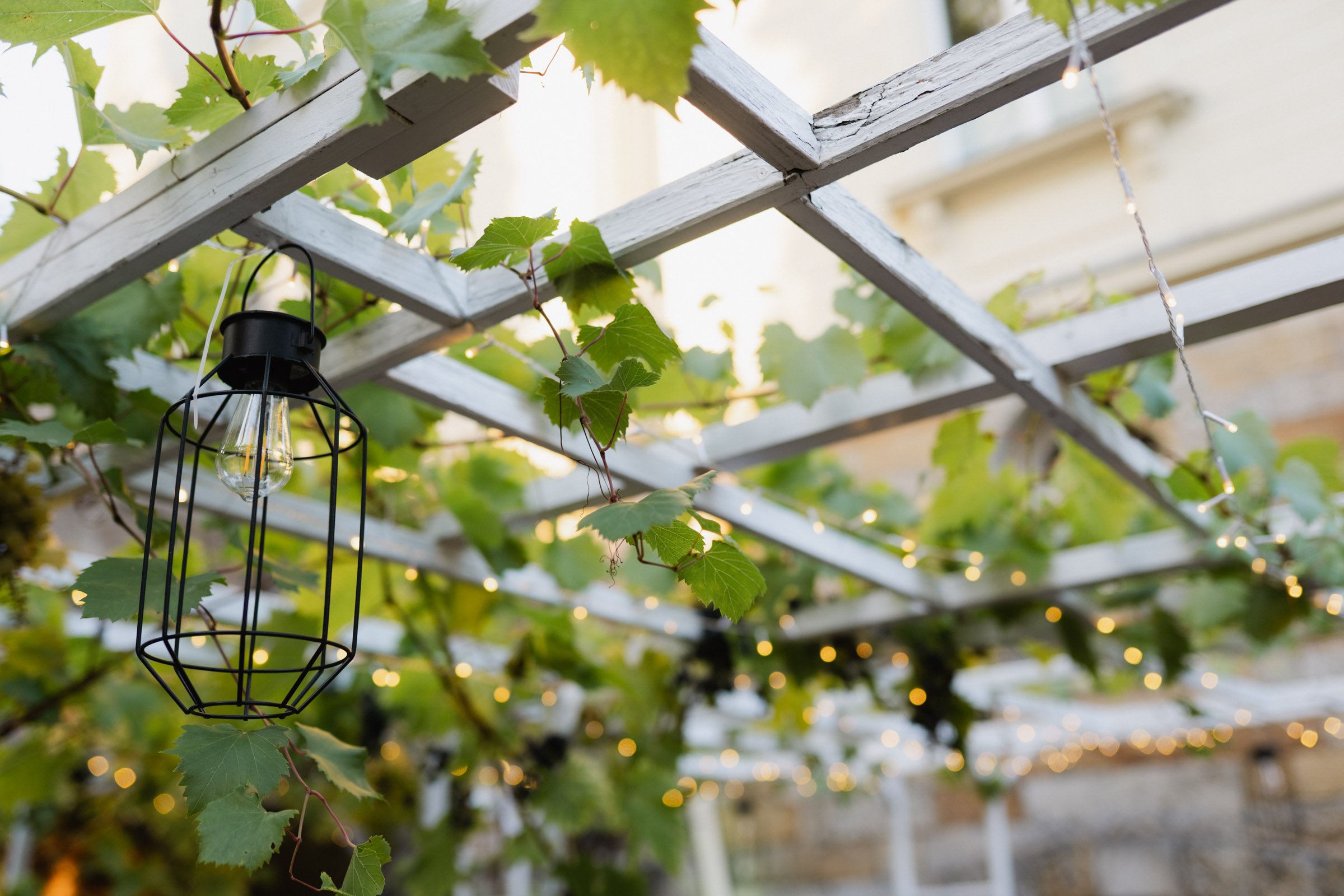 Hochzeitsfotograf Dresden-256.jpg