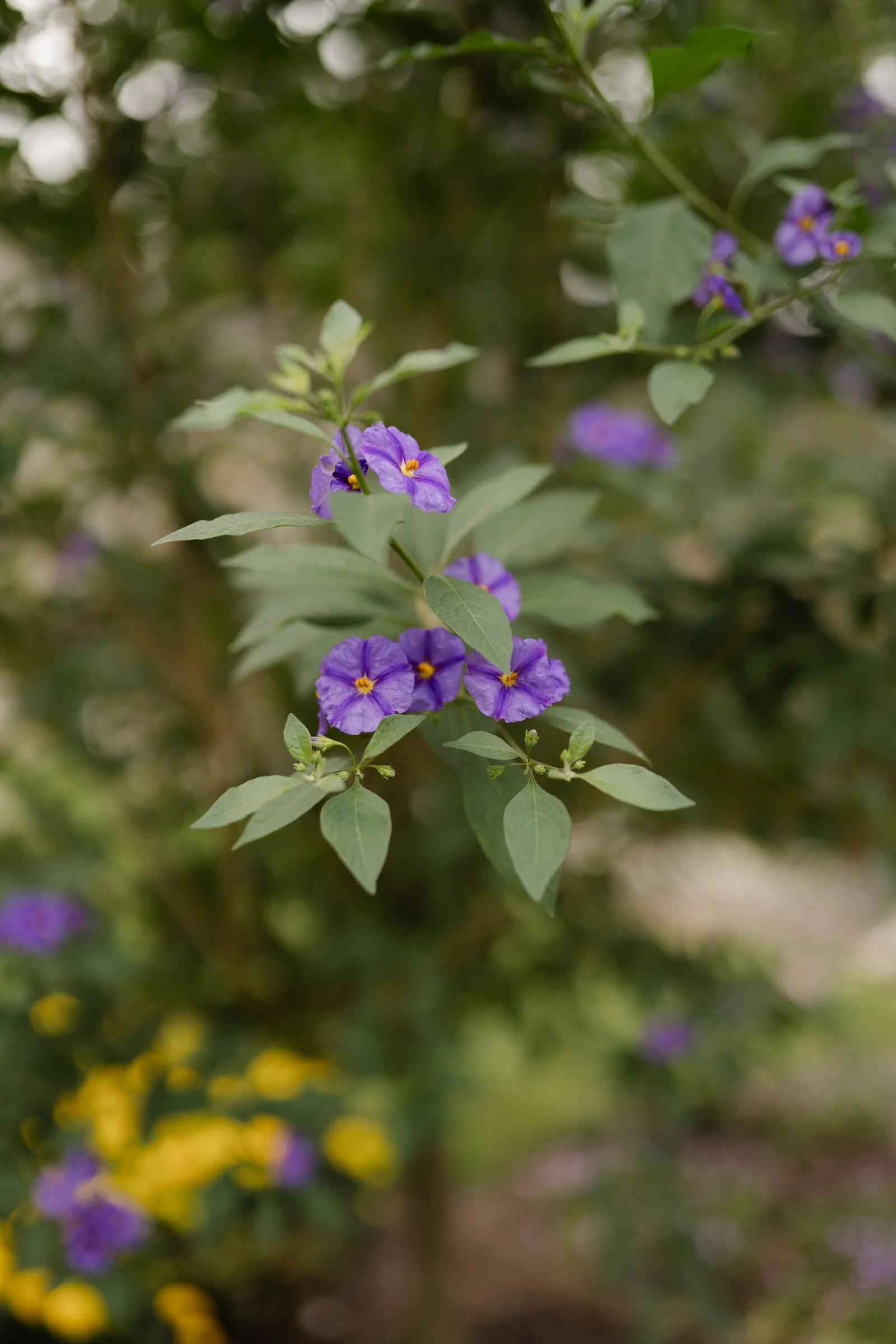 Hochzeitsfotograf Dresden Leipzig-54.jpg