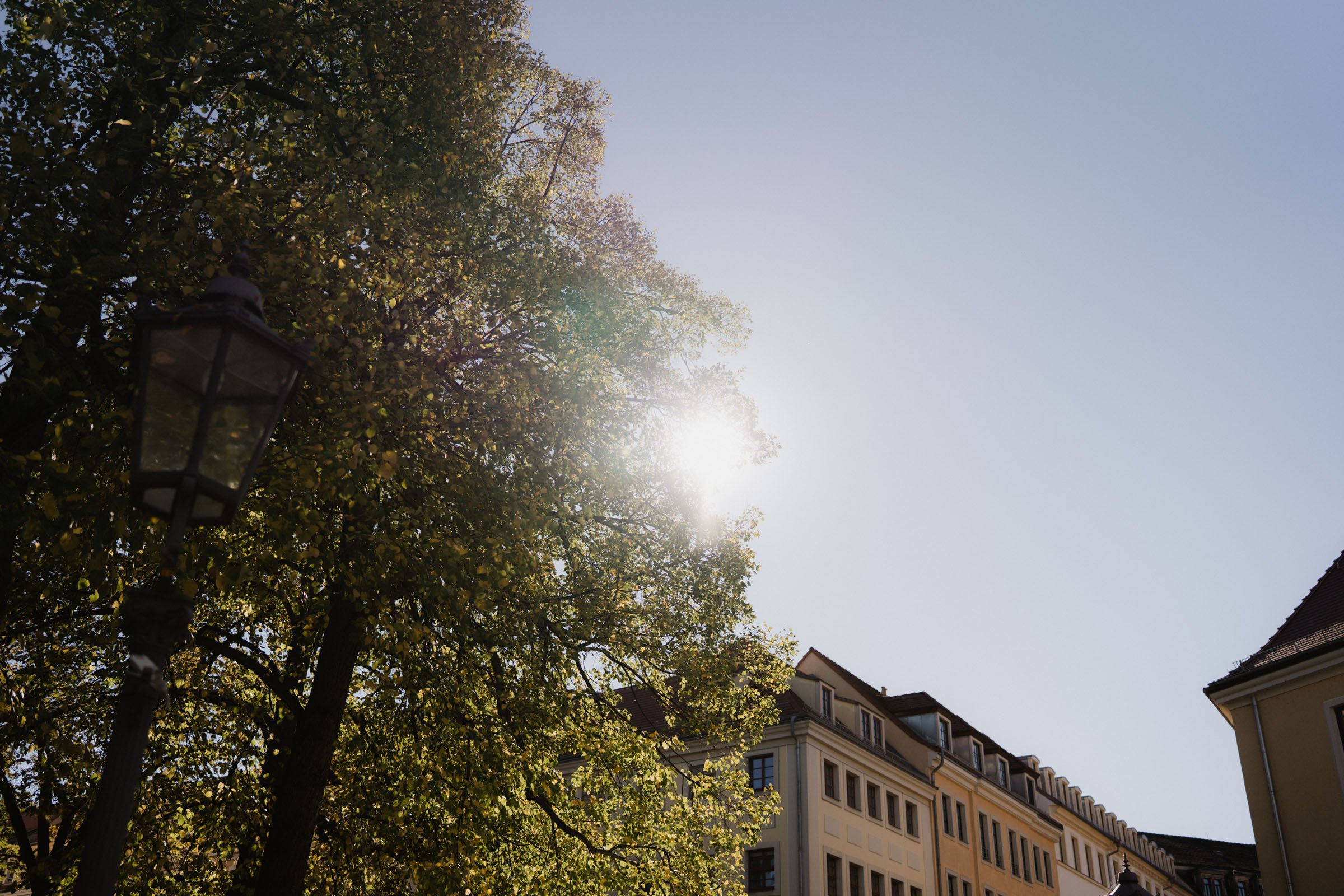 hochzeit buelow palais dresden-3.jpg