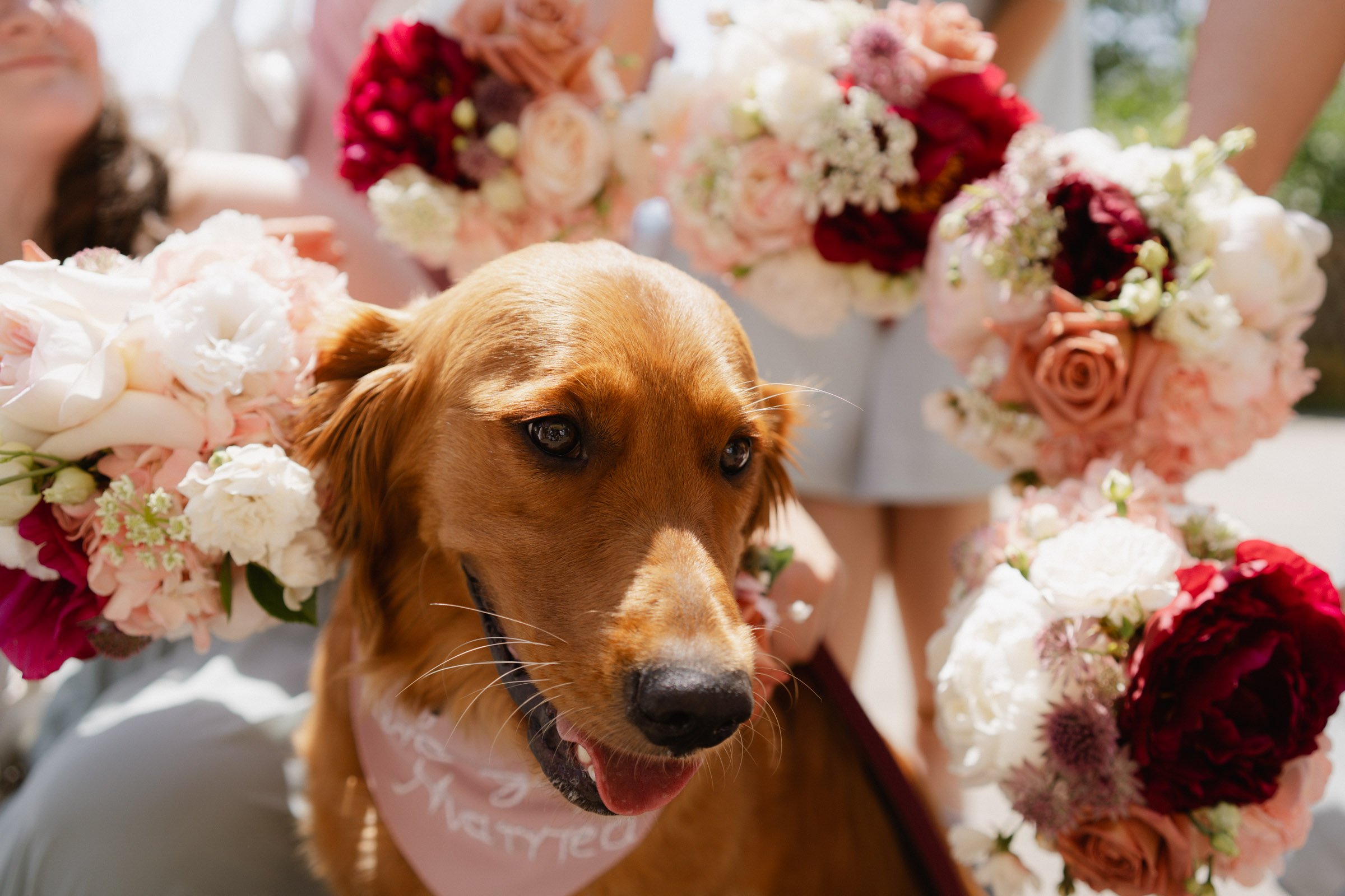 Hochzeitsfotograf Dresden Leipzig-72.jpg