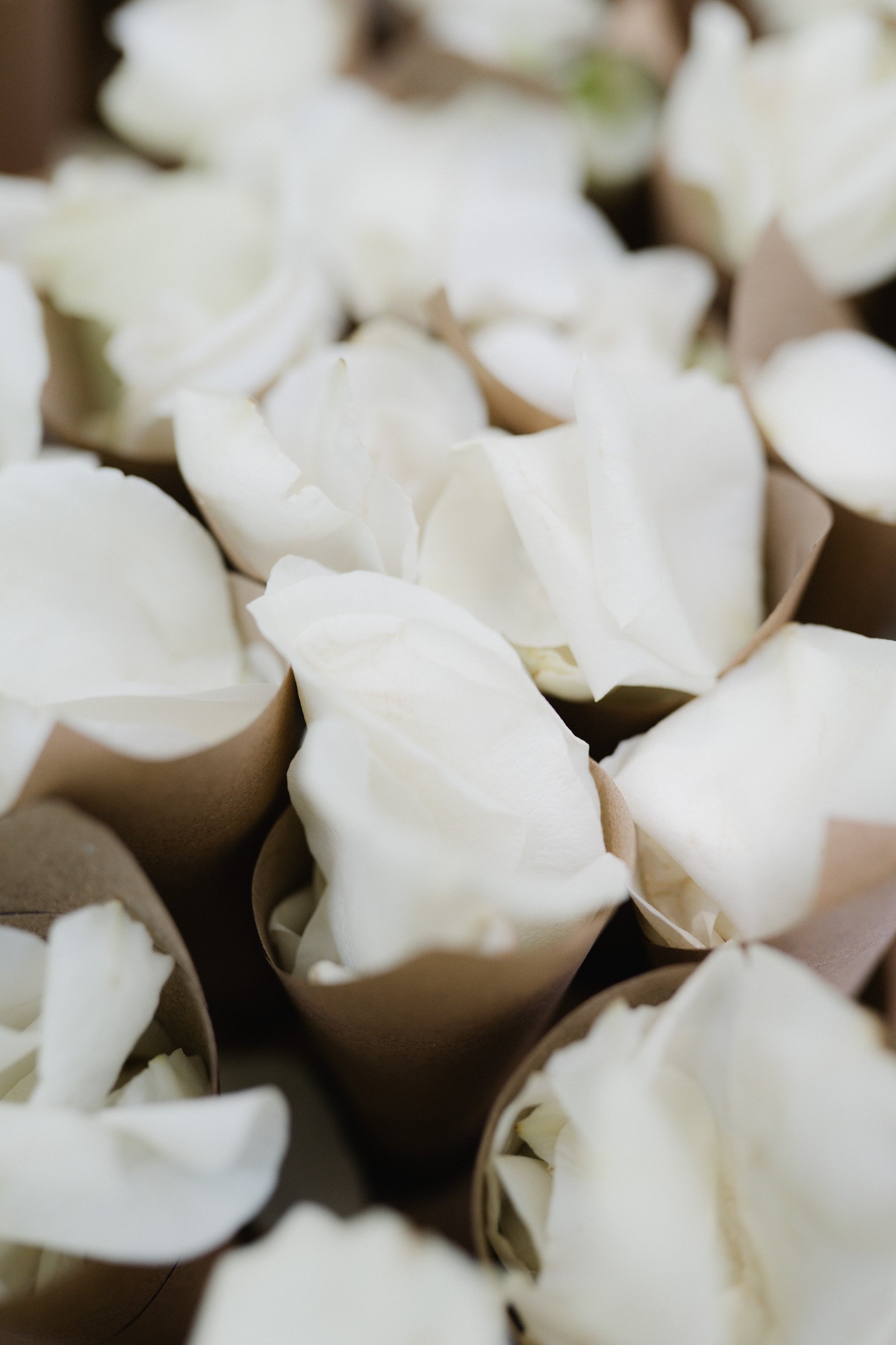 Hochzeitsfotograf Dresden Leipzig-95.jpg