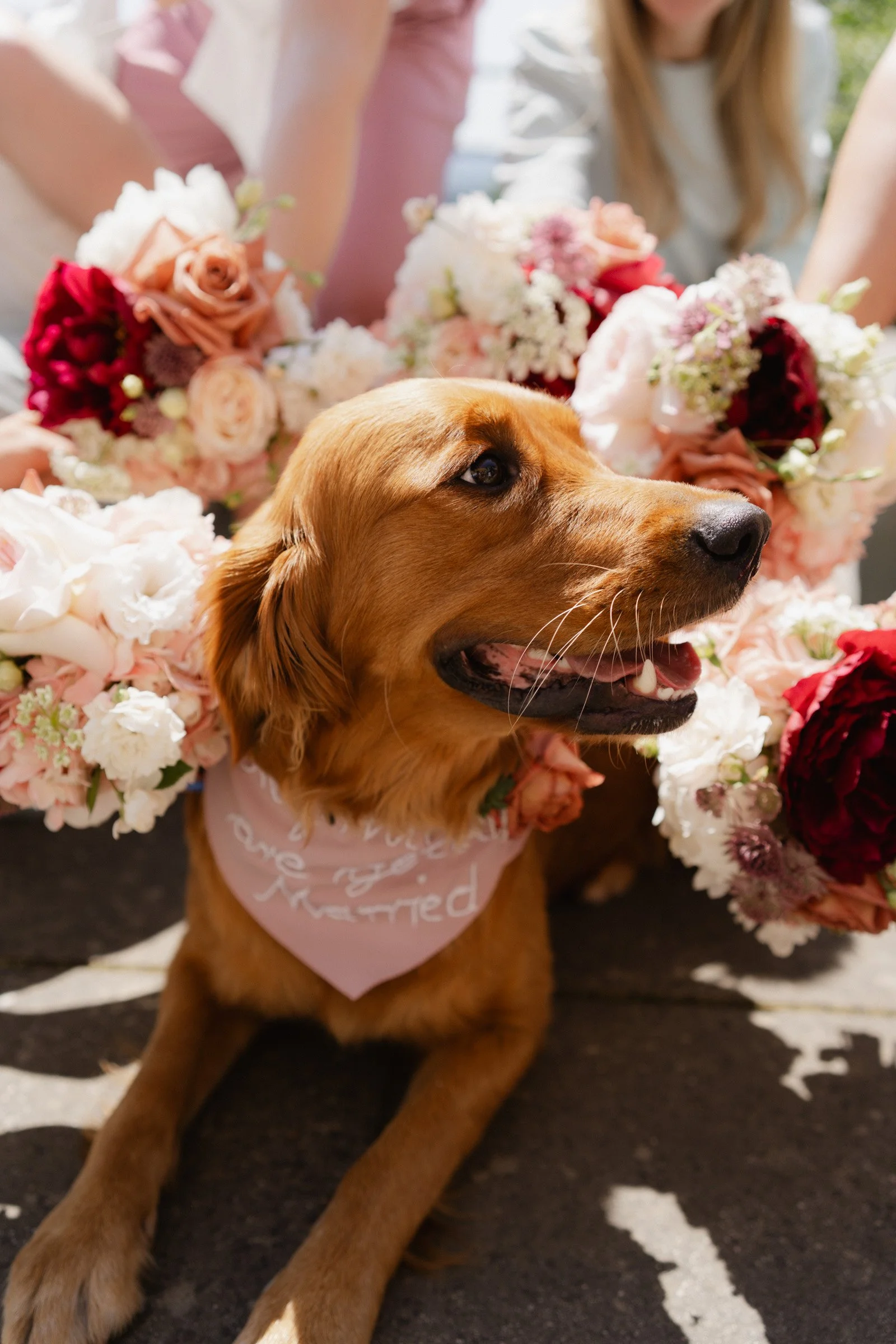 Hochzeitsfotograf Dresden Leipzig-74.jpg