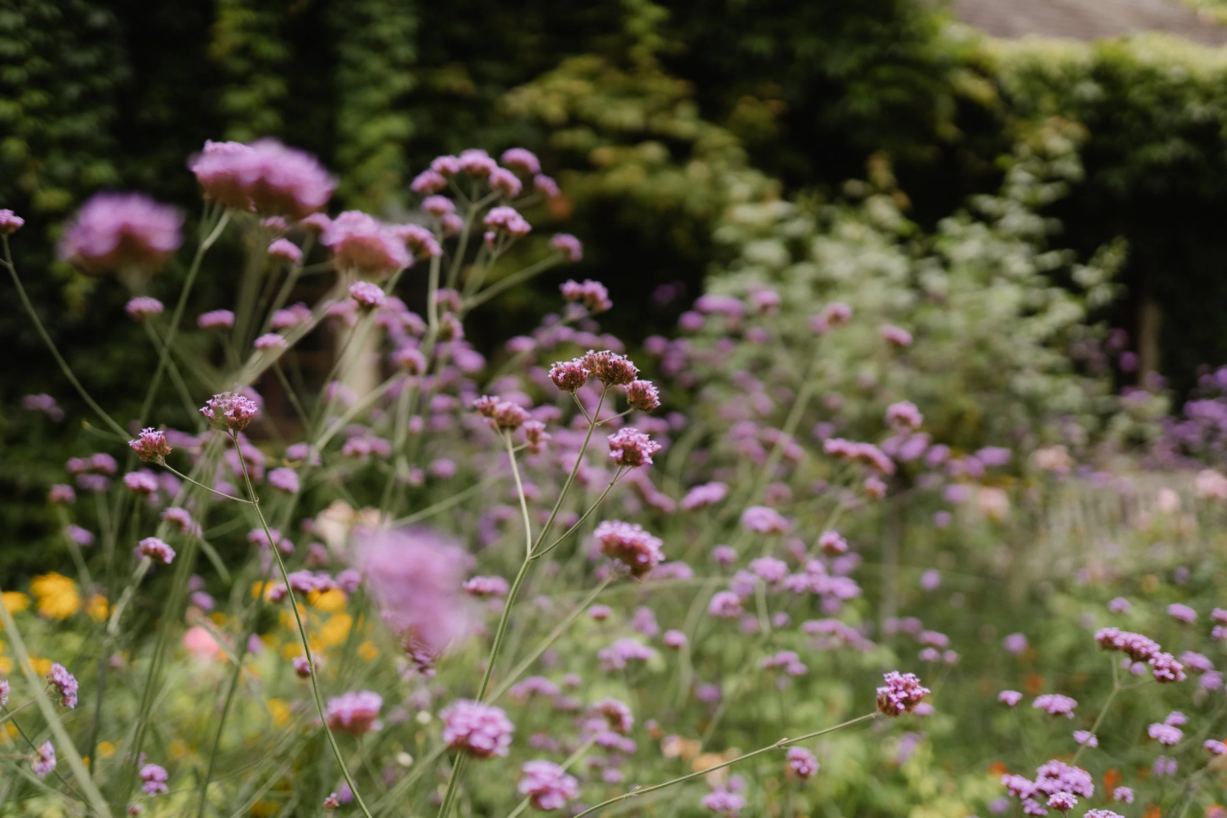 Hochzeitsfotograf Dresden Leipzig-224.jpg