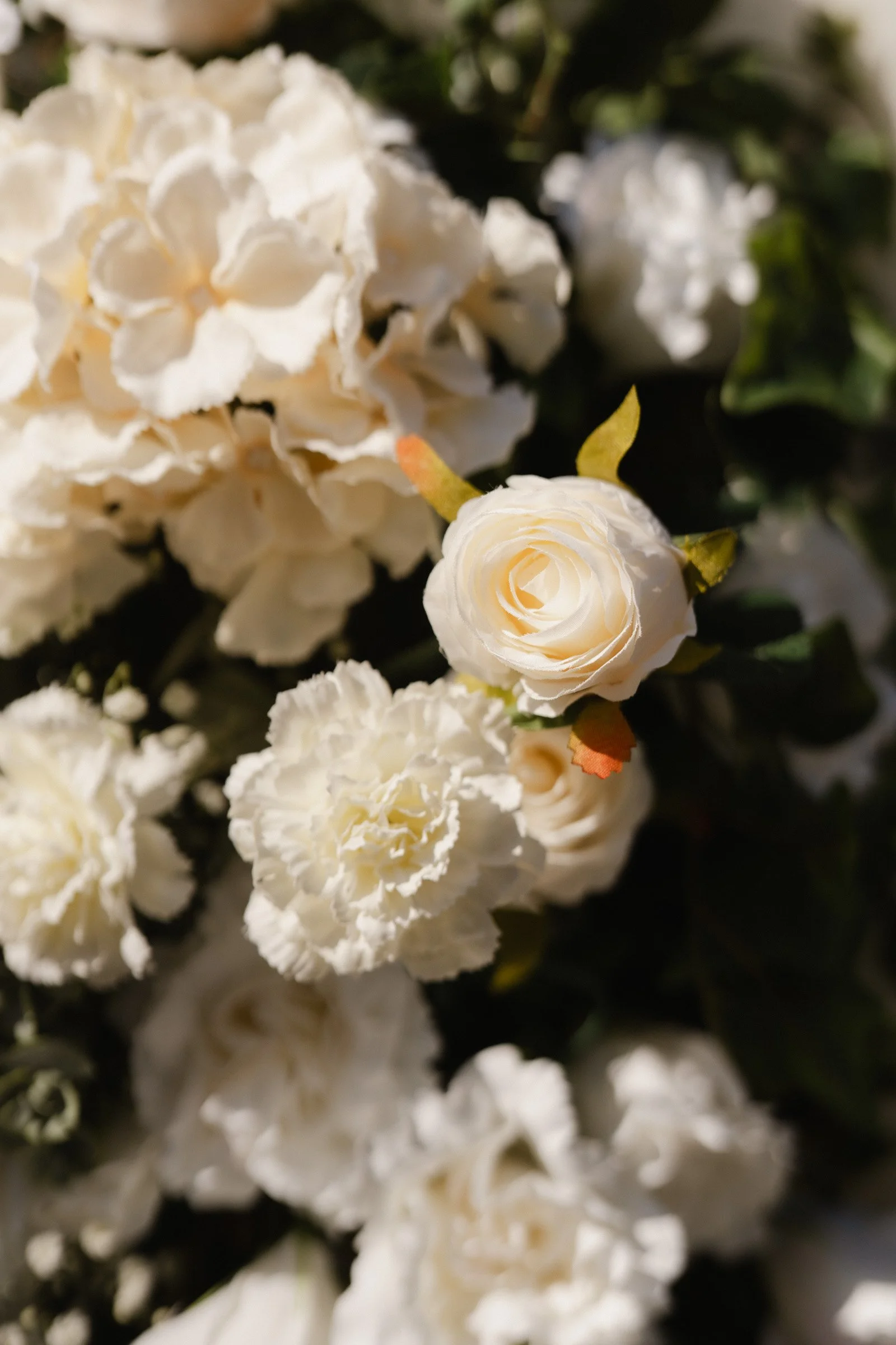 Hochzeitsfotograf Dresden-119.jpg