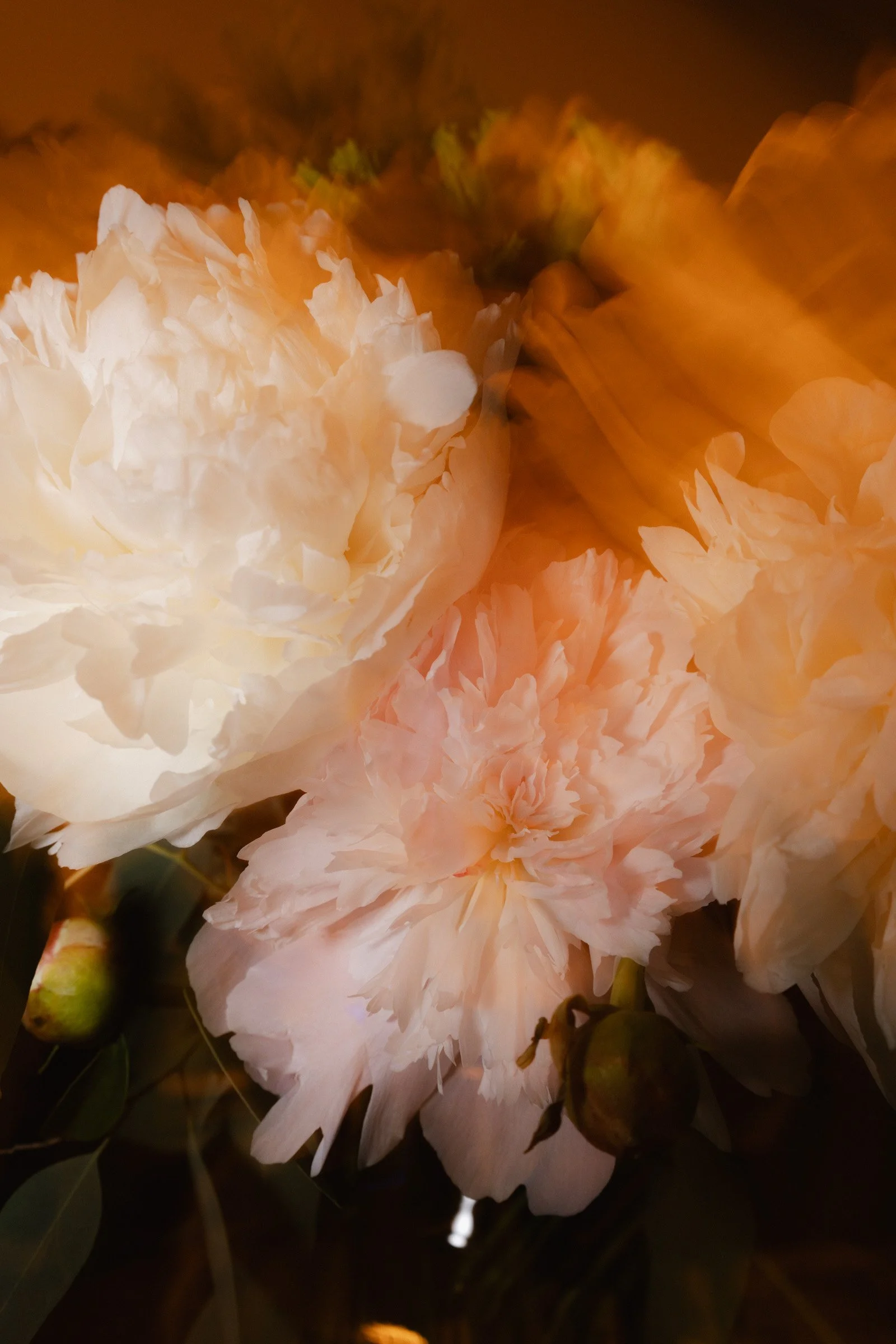 Hochzeitsfotograf Dresden Leipzig-205.jpg