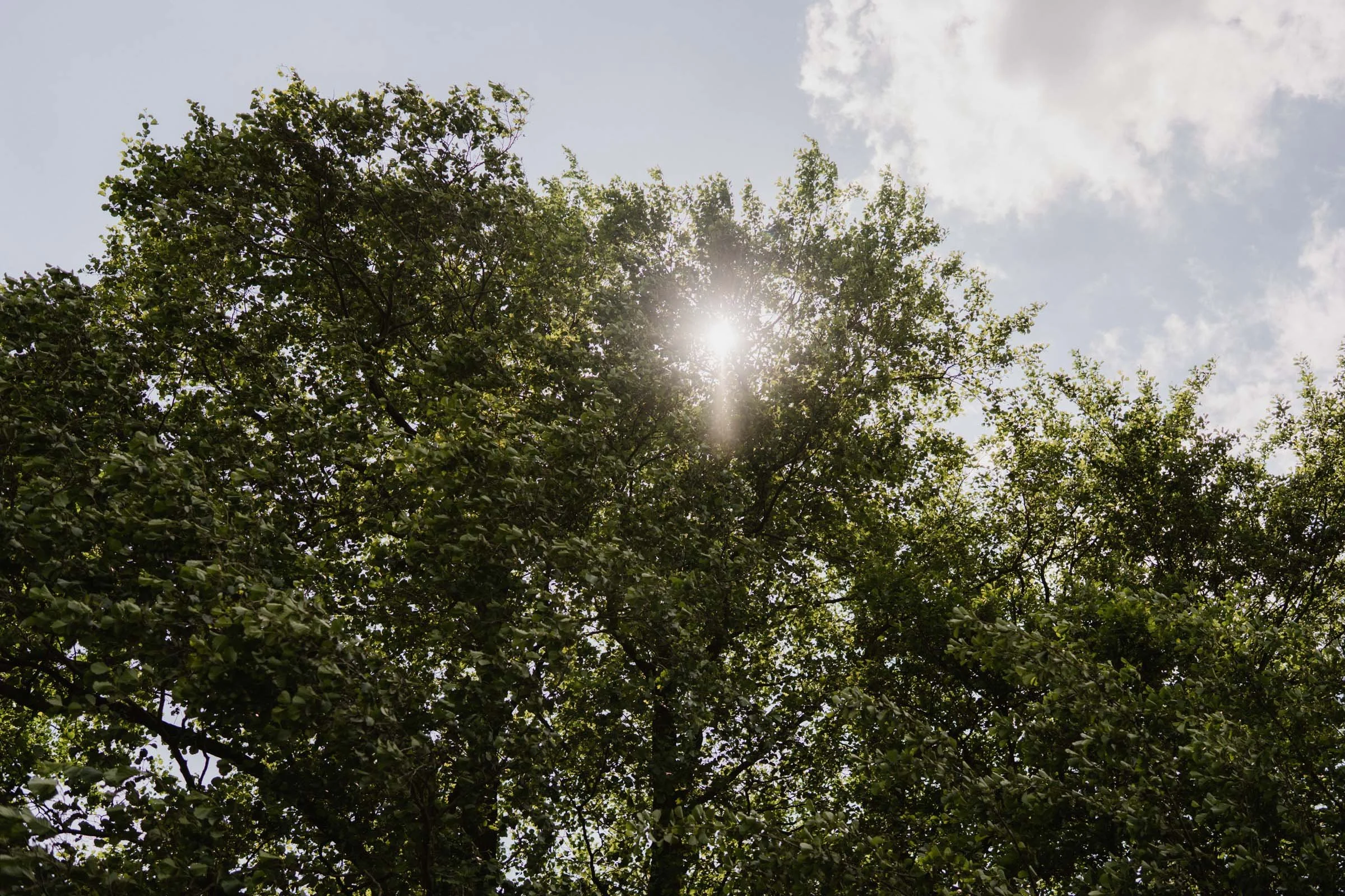 hochzeit schellenberghof leubsdorf-6.jpg