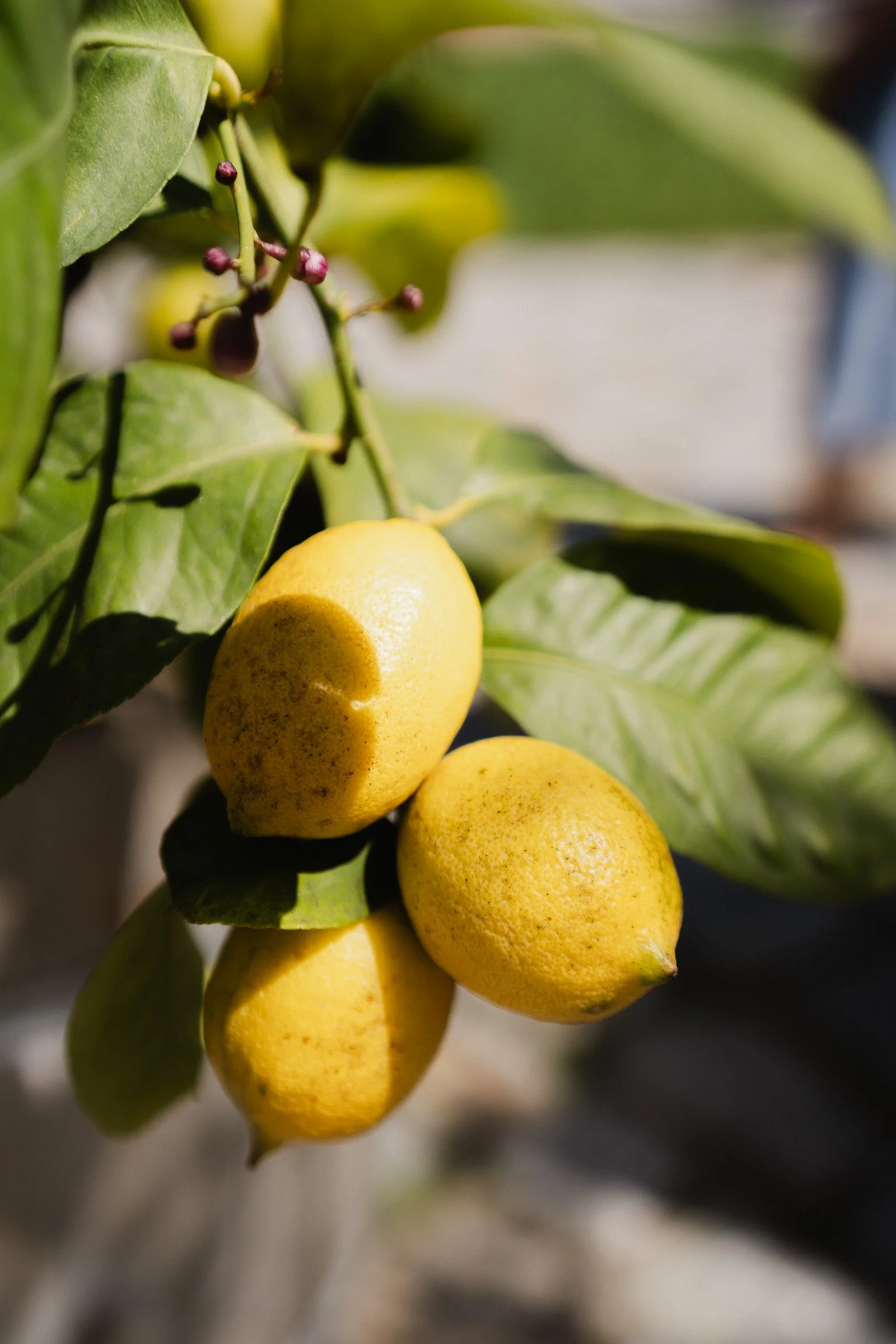 Hochzeitsfotograf Dresden Leipzig-123.jpg