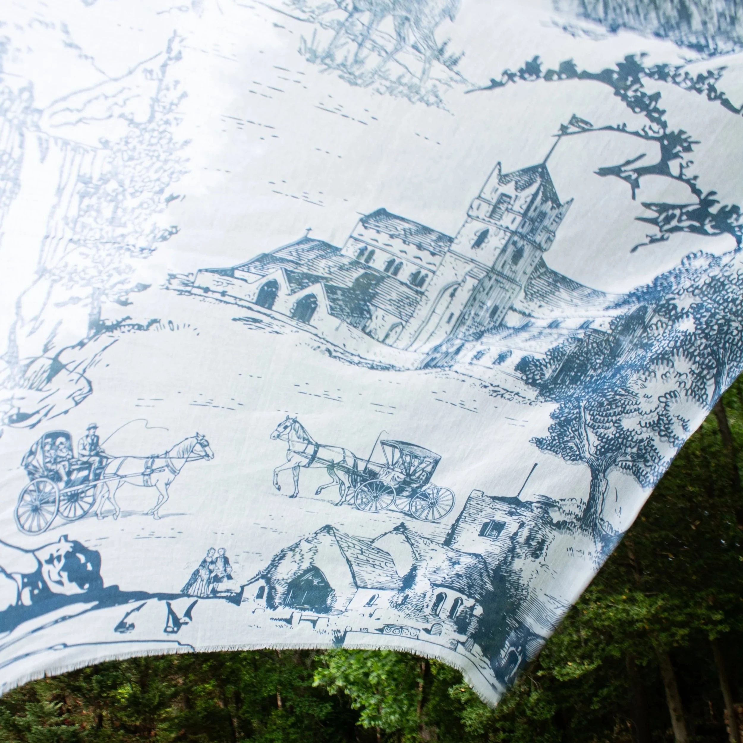 IMG_8537.jpg