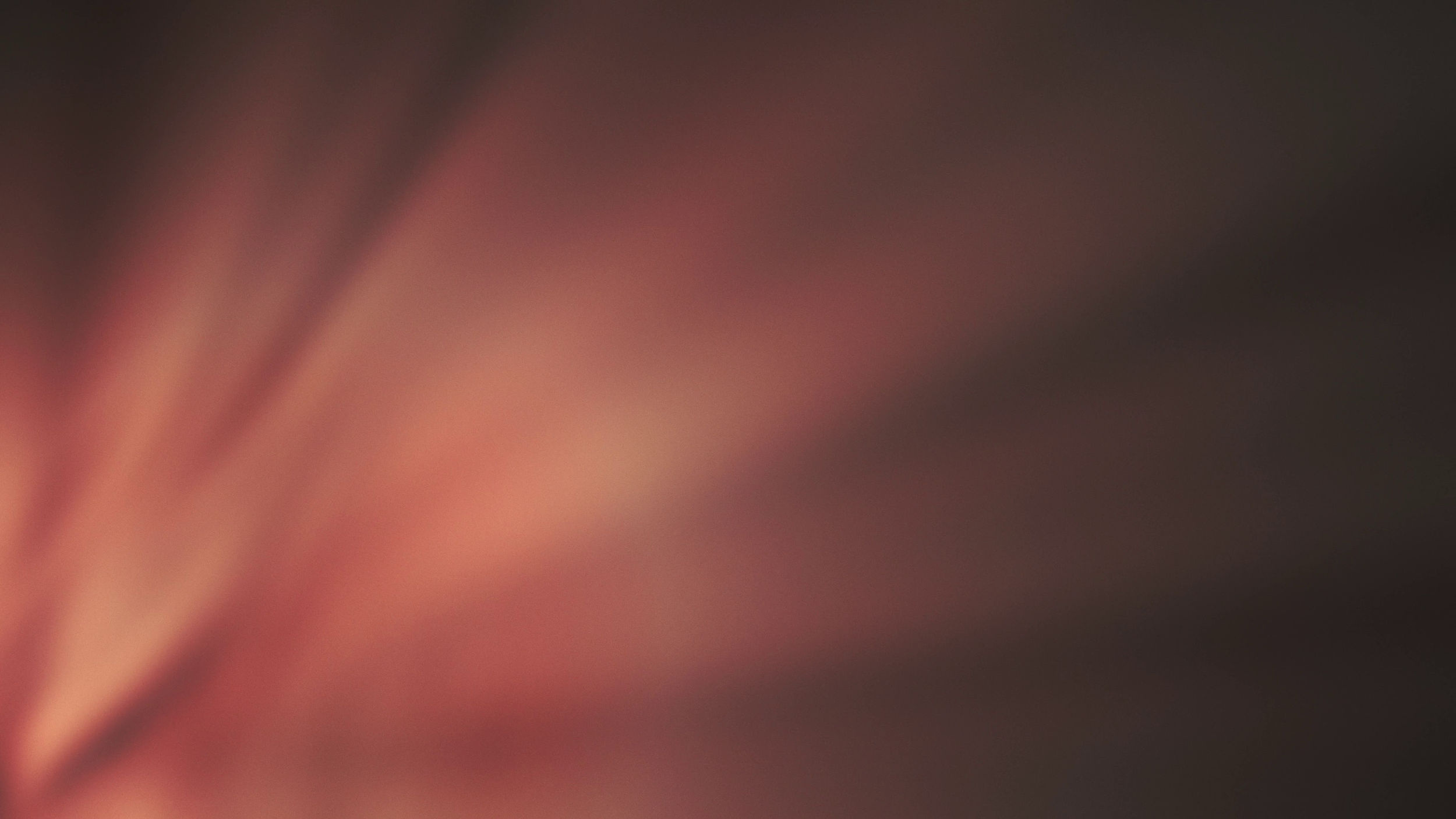 Rays_still_ (26).png