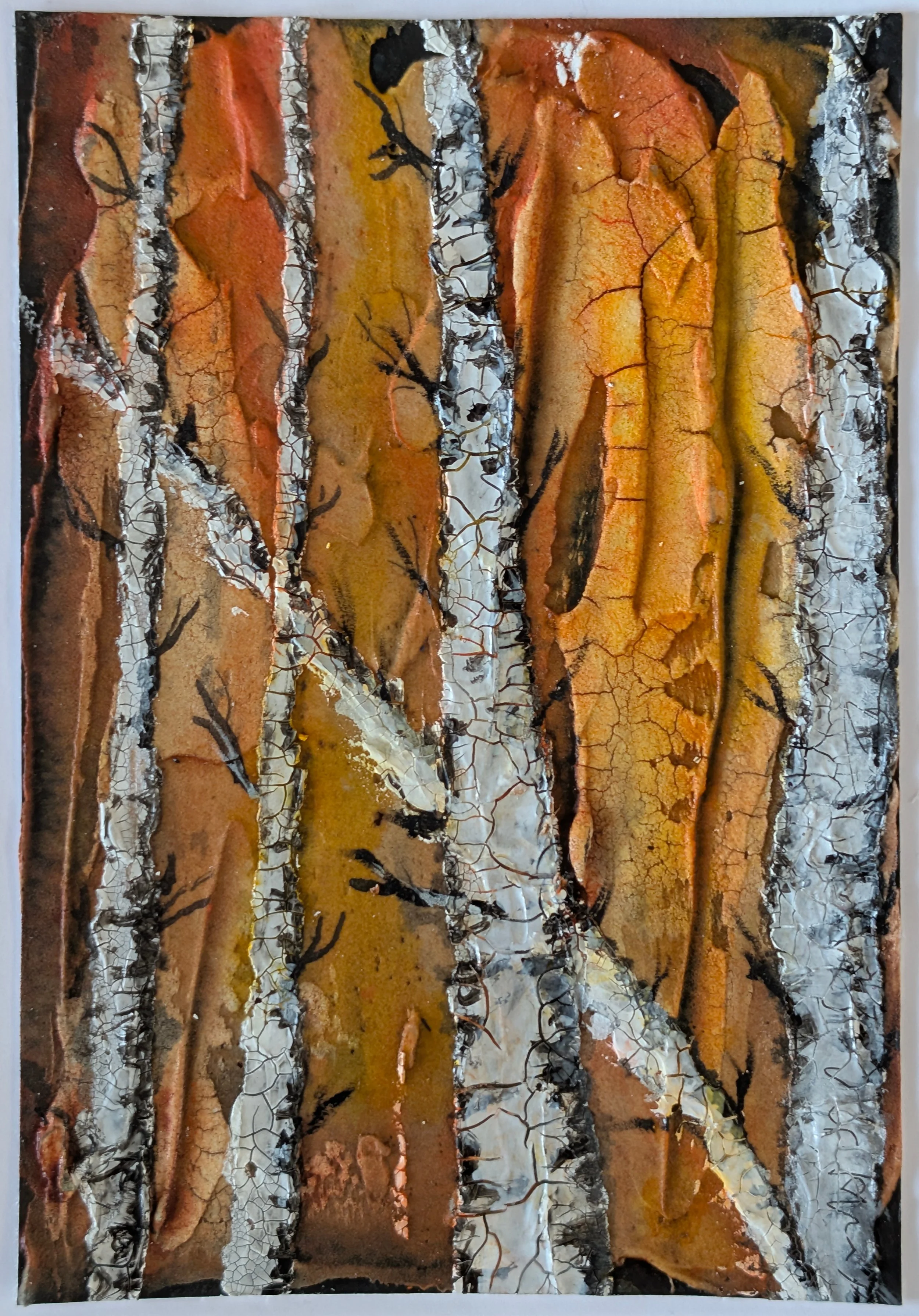 Birches autumn Fire.jpg