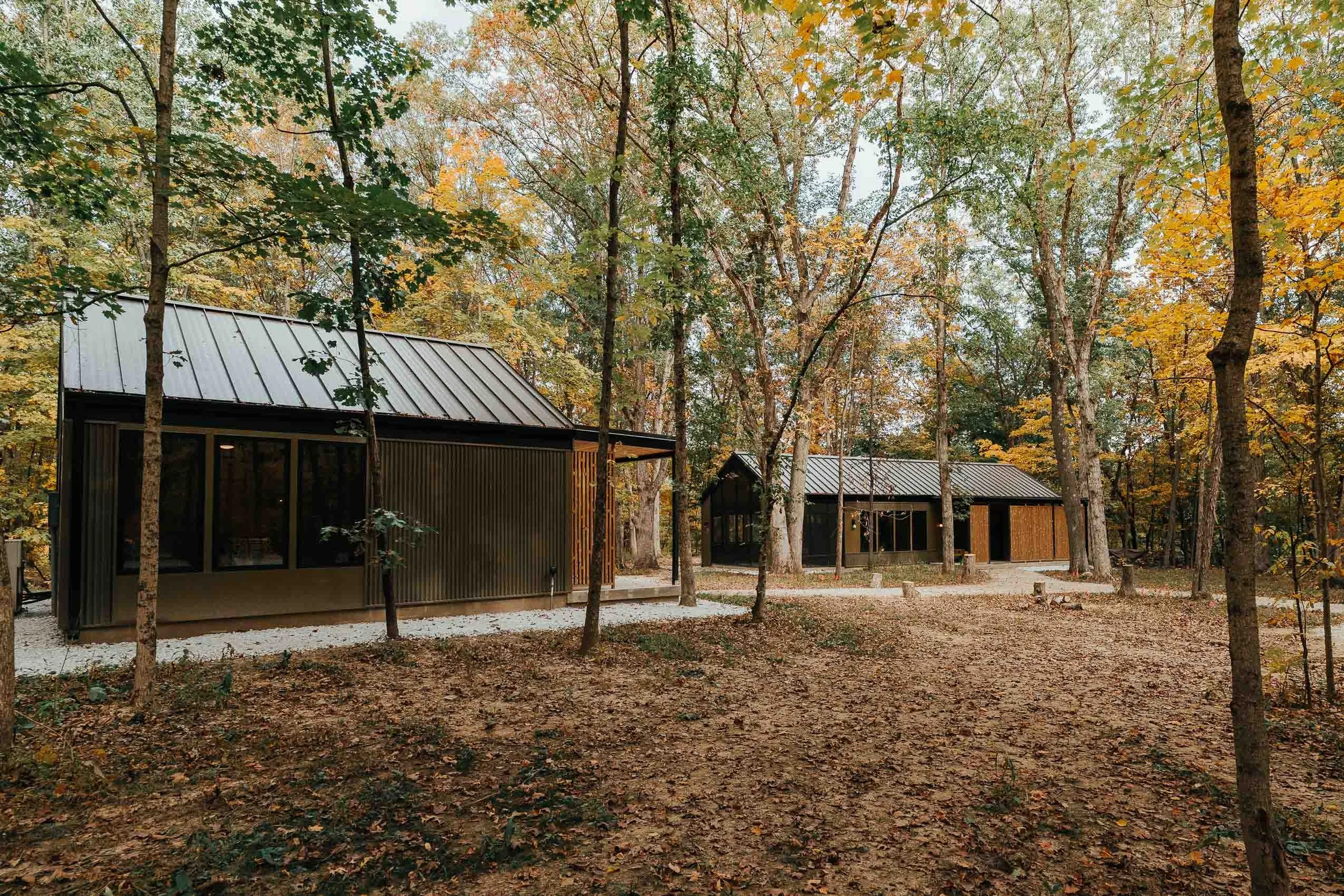 Three modern dark-colored cabins with metal roofs are situated among tall trees with autumn-colored leaves in a wooded area, with a ground covered in leaves and a pathway leading to the cabins.