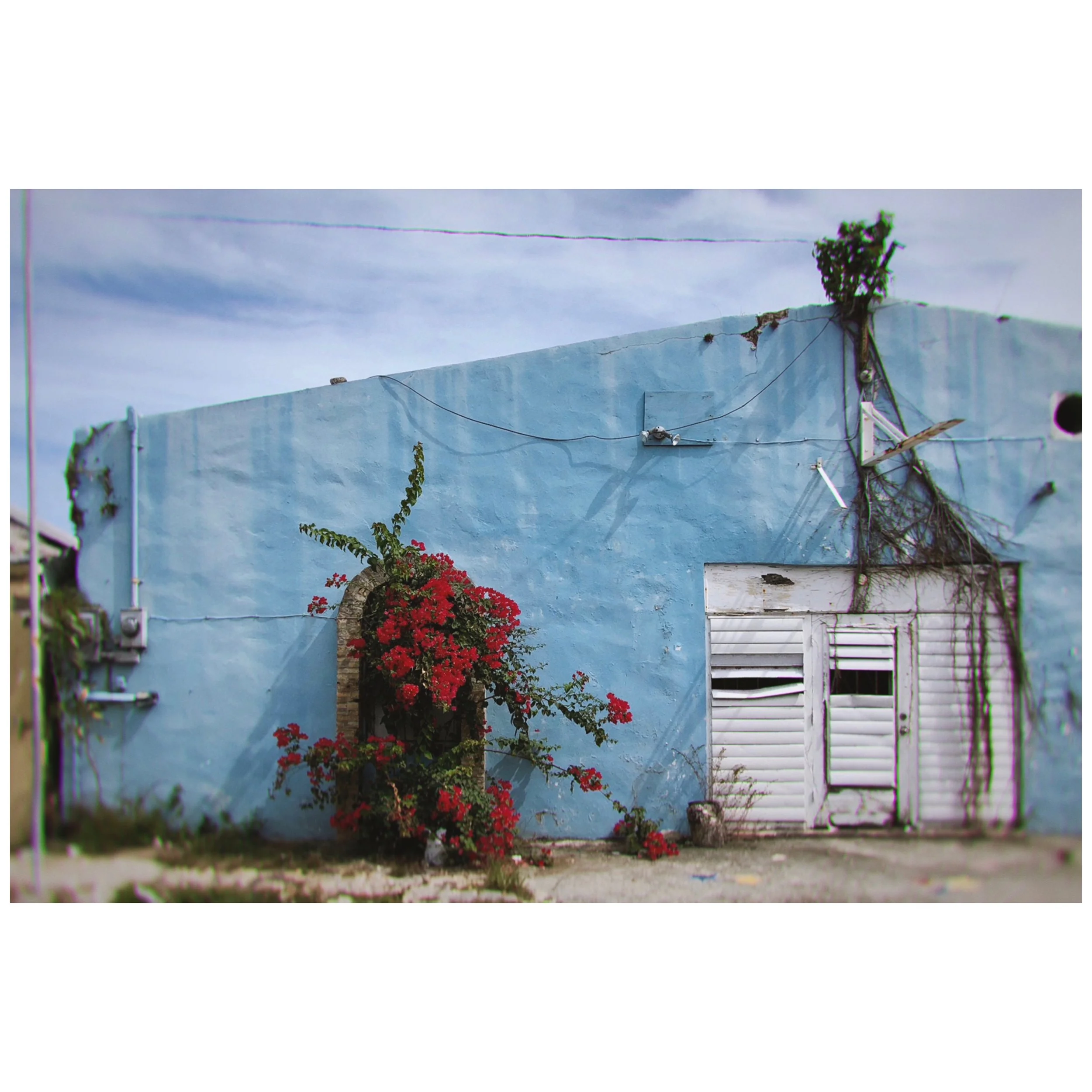 Whitagram-Image 31.JPG