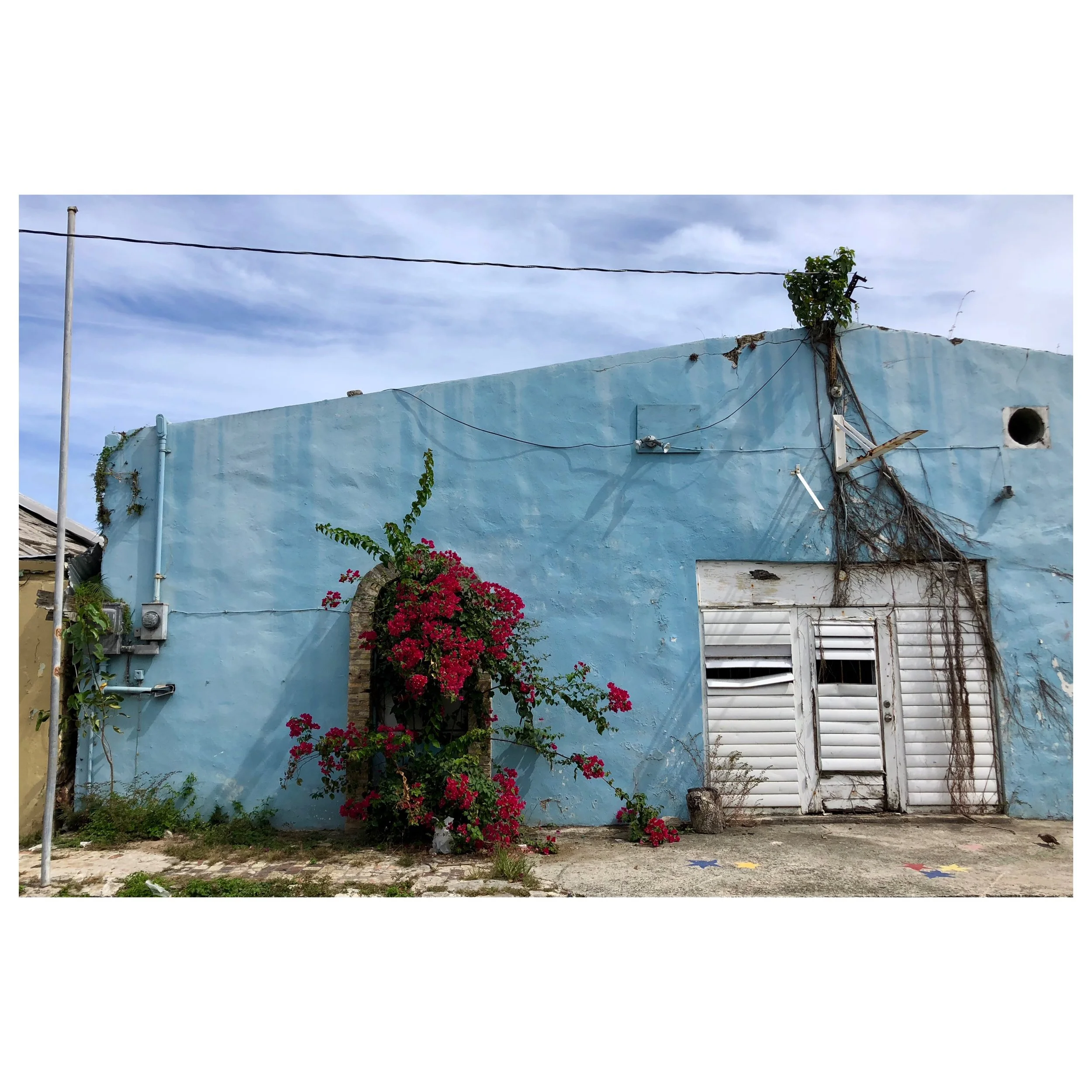 Whitagram-Image 20.JPG