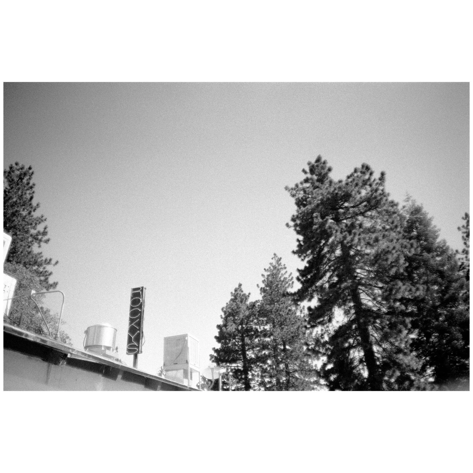 Whitagram-Image 3.JPG